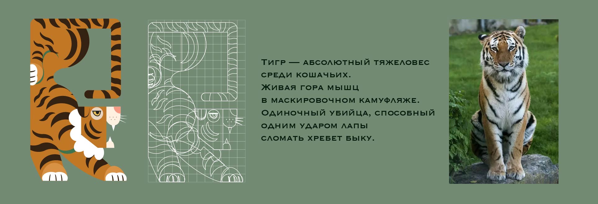 Серия пиктограмм — Изображение №1 — Графика, Анимация на Dprofile