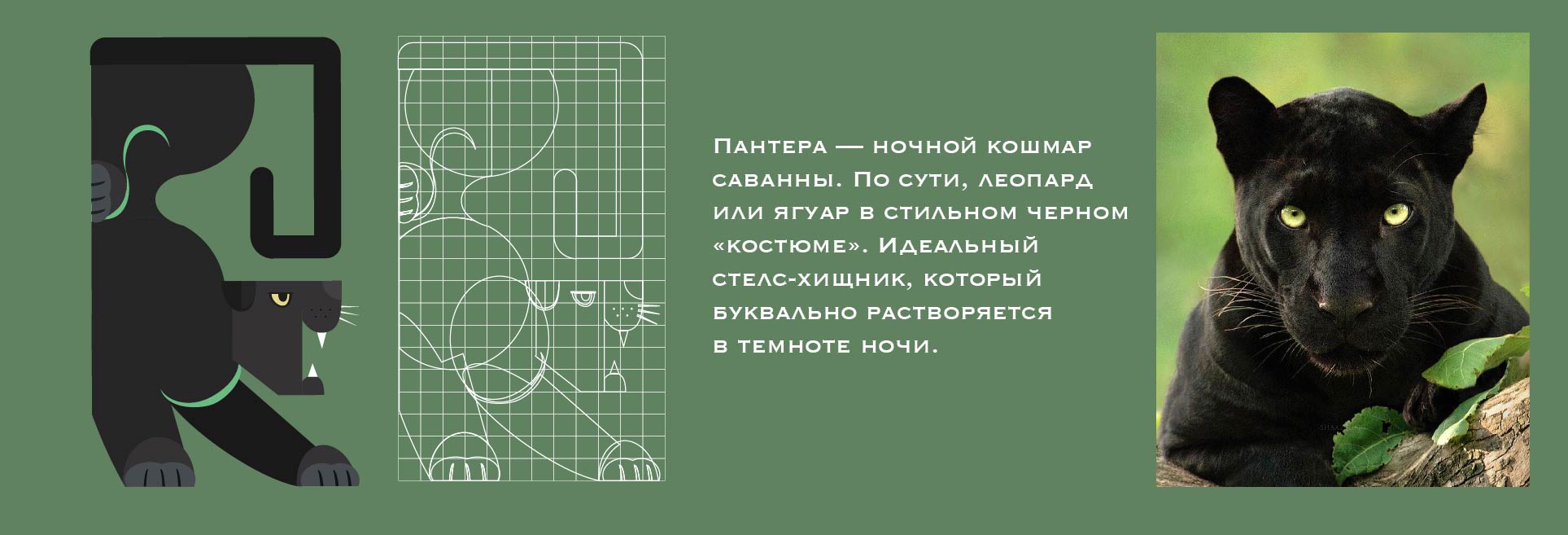 Серия пиктограмм — Изображение №3 — Графика, Анимация на Dprofile