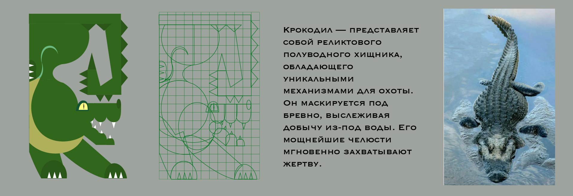 Серия пиктограмм — Изображение №9 — Графика, Анимация на Dprofile