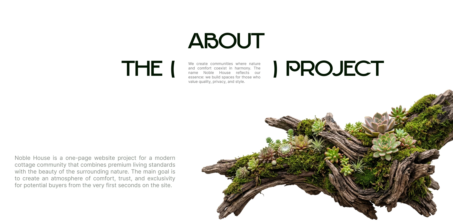Лэндинг для коттеджного поселка NOBLE HOUSE — Изображение №2 — Интерфейсы, Нейро на Dprofile