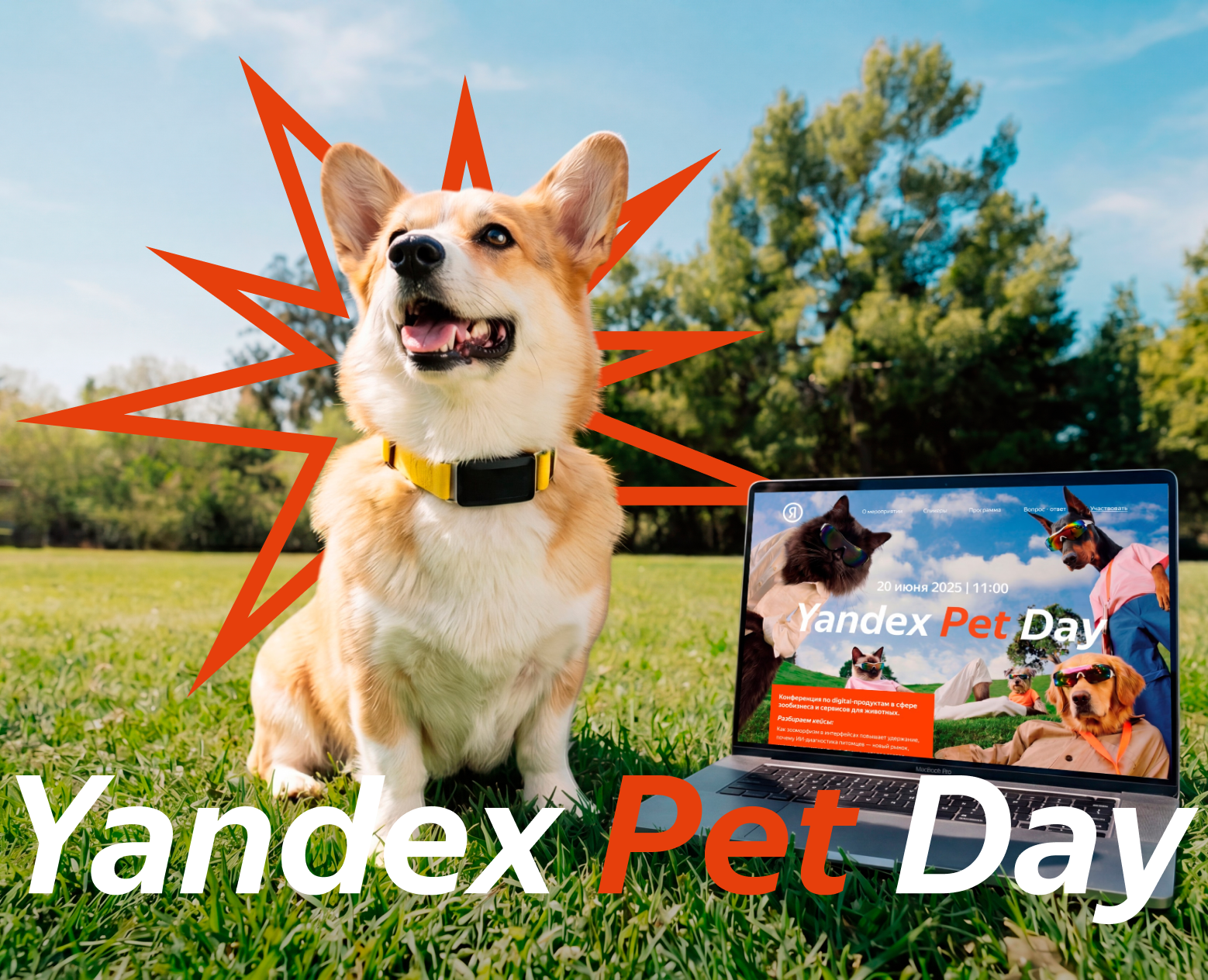 Landing page Yandex Pet Day. Тестовое задание — Интерфейсы на Dprofile