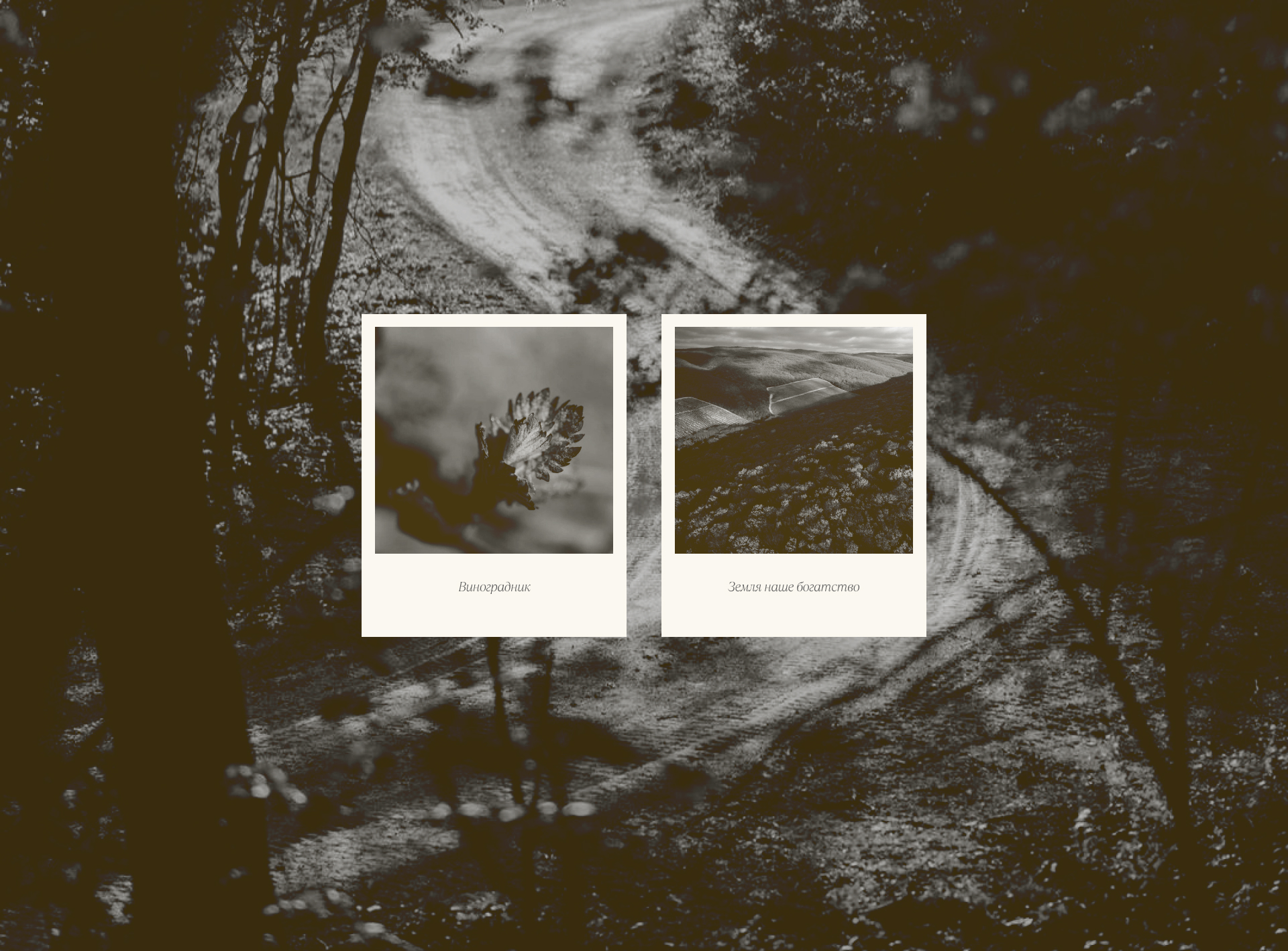 G&G — Изображение №29 — Интерфейсы на Dprofile