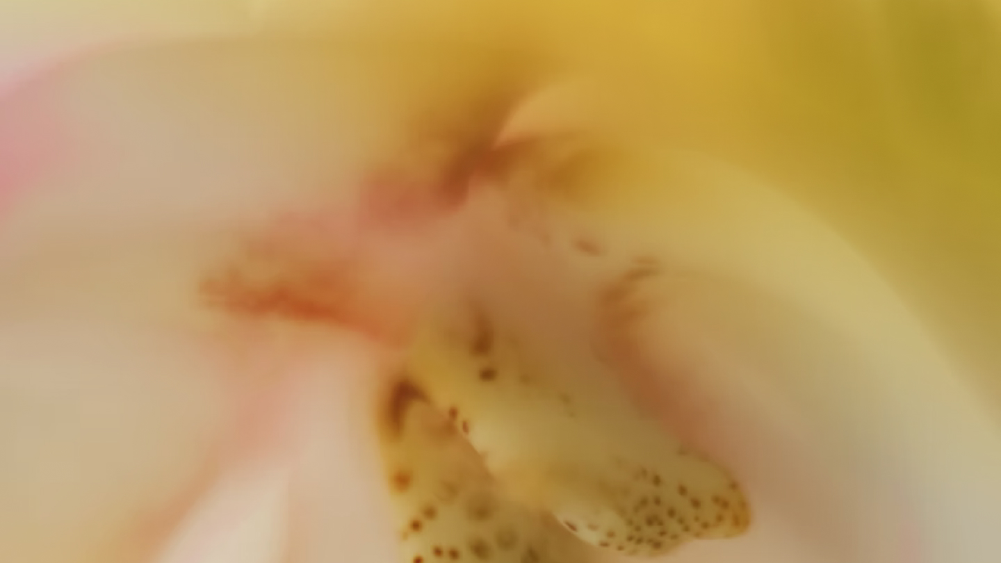 G&G — Изображение №7 — Интерфейсы на Dprofile