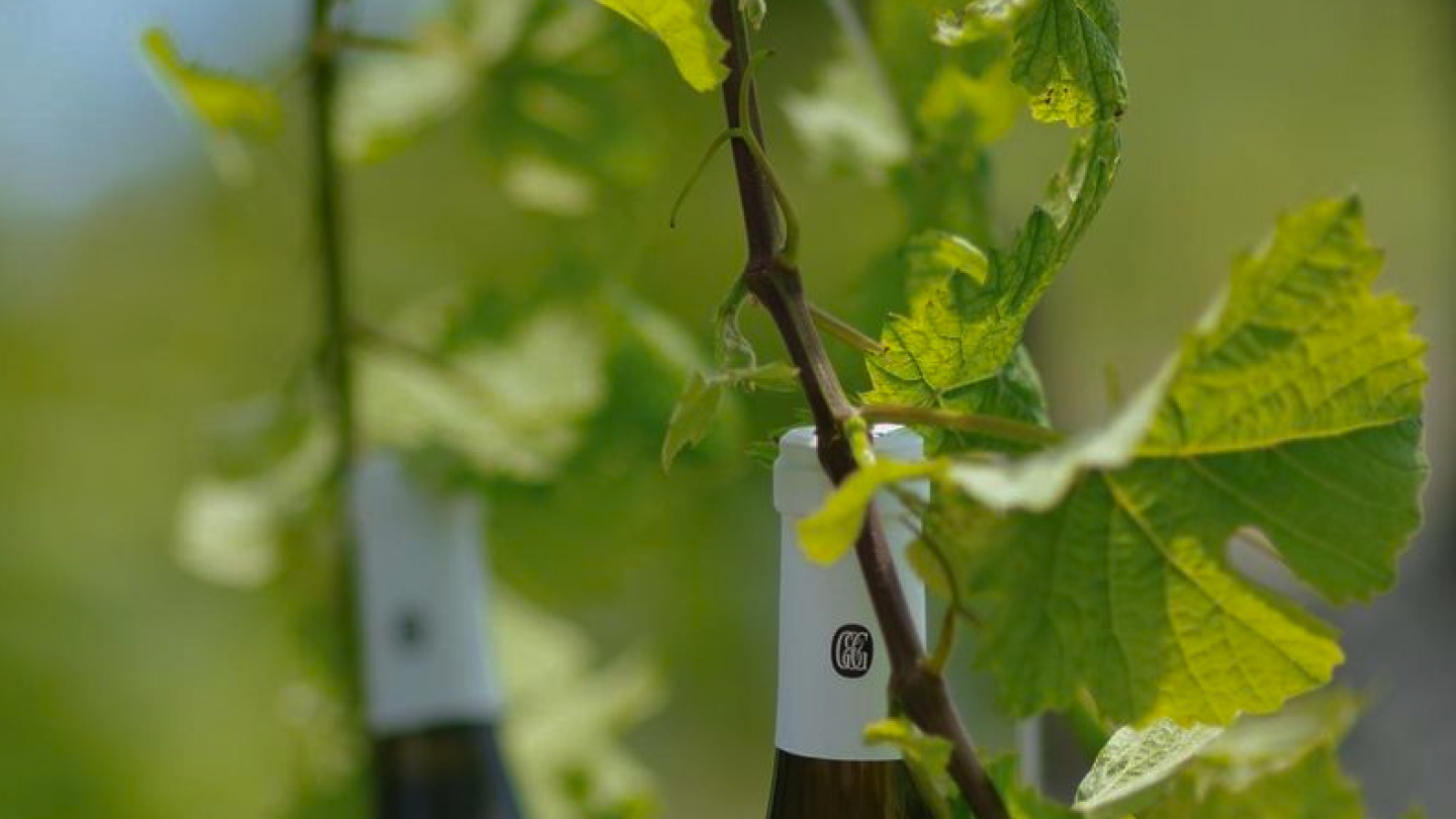 G&G — Изображение №6 — Интерфейсы на Dprofile