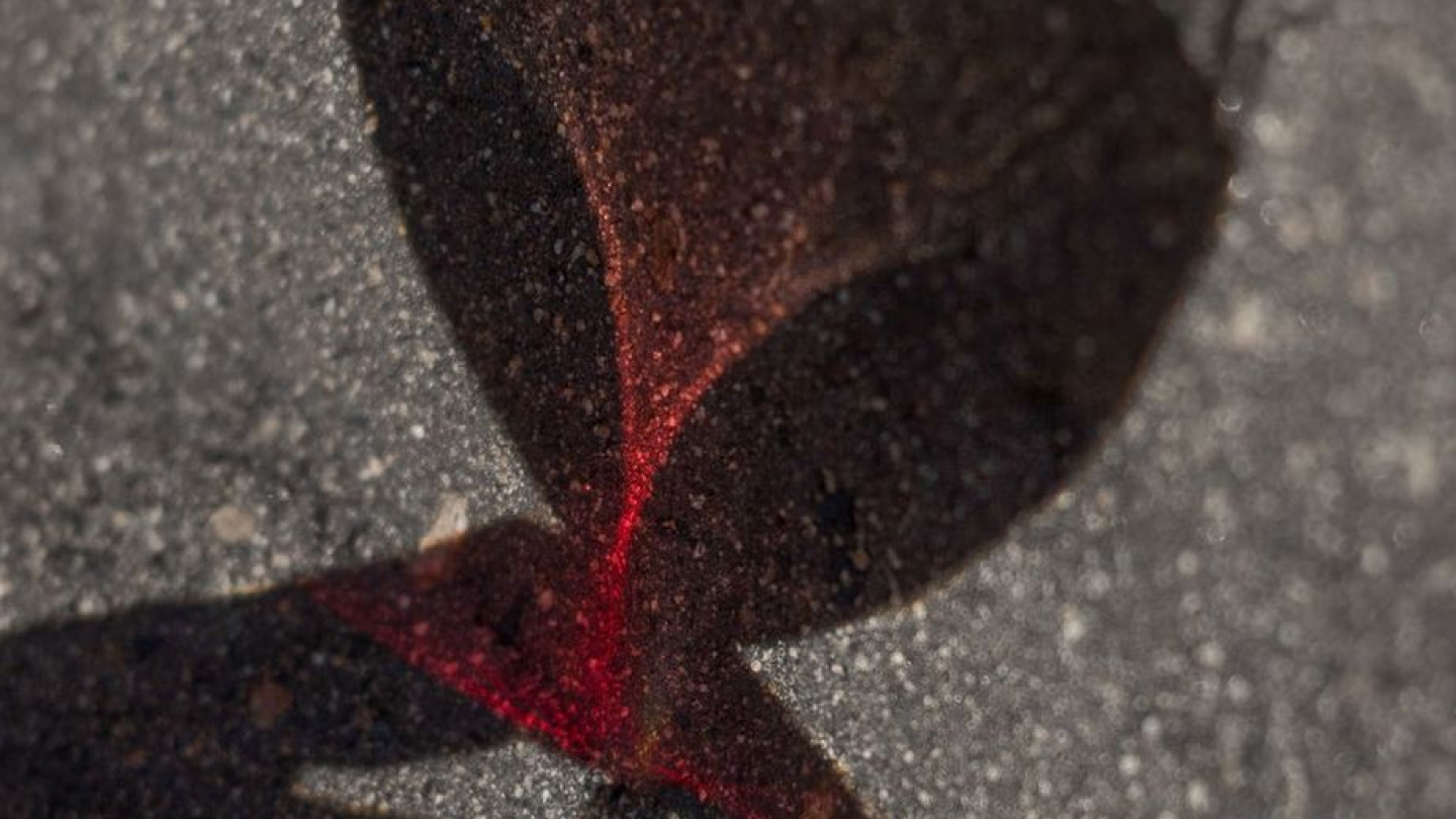 G&G — Изображение №9 — Интерфейсы на Dprofile