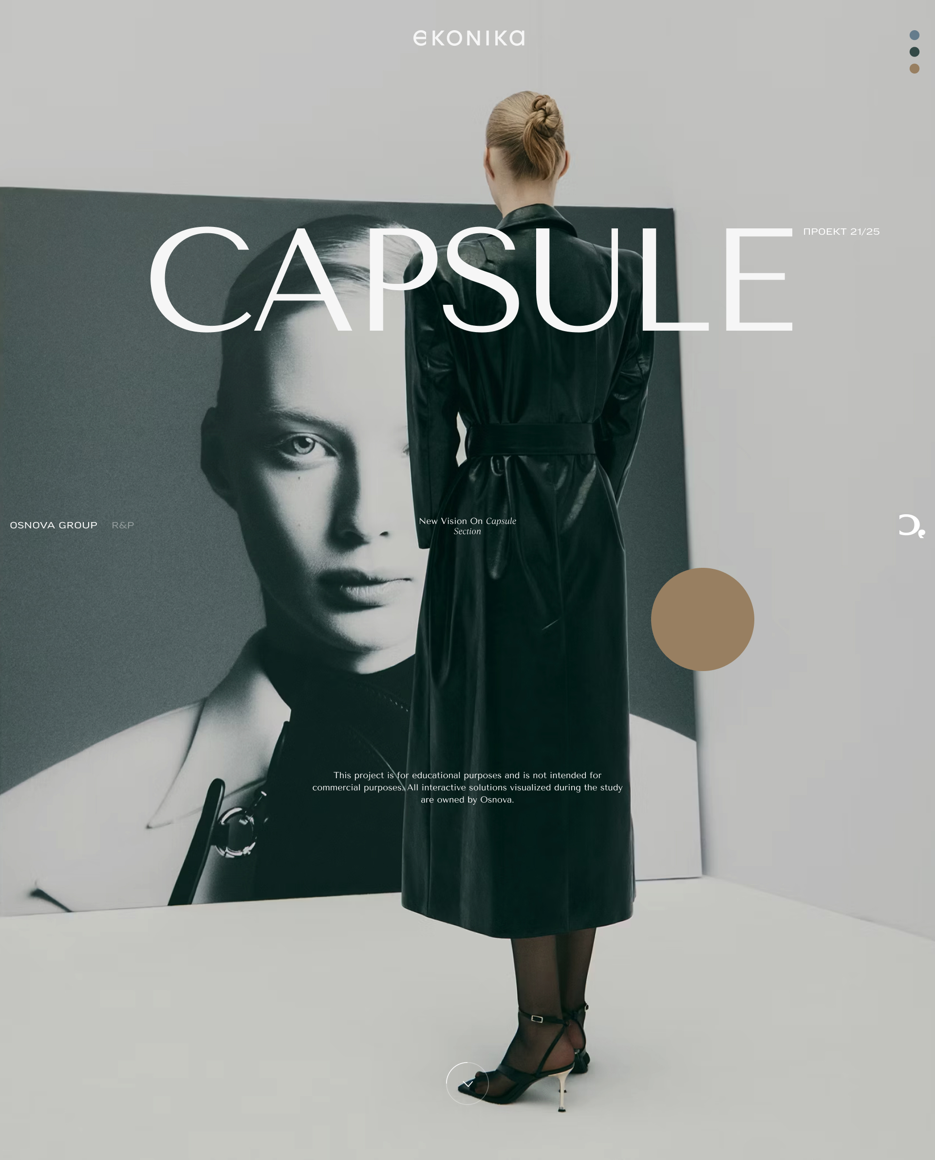 Ekonika Capsule — Изображение №1 — Интерфейсы на Dprofile