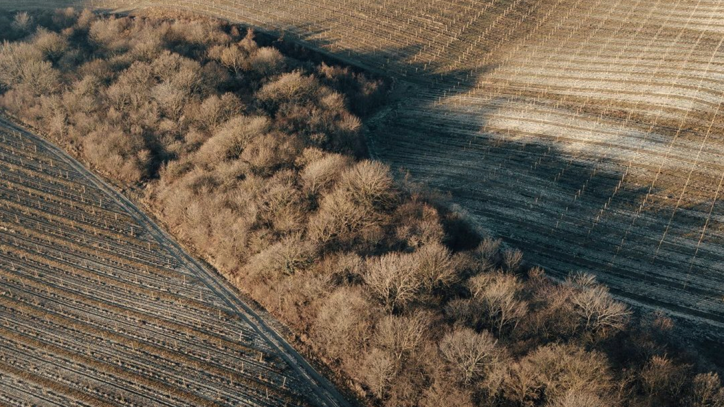 G&G — Изображение №4 — Интерфейсы на Dprofile