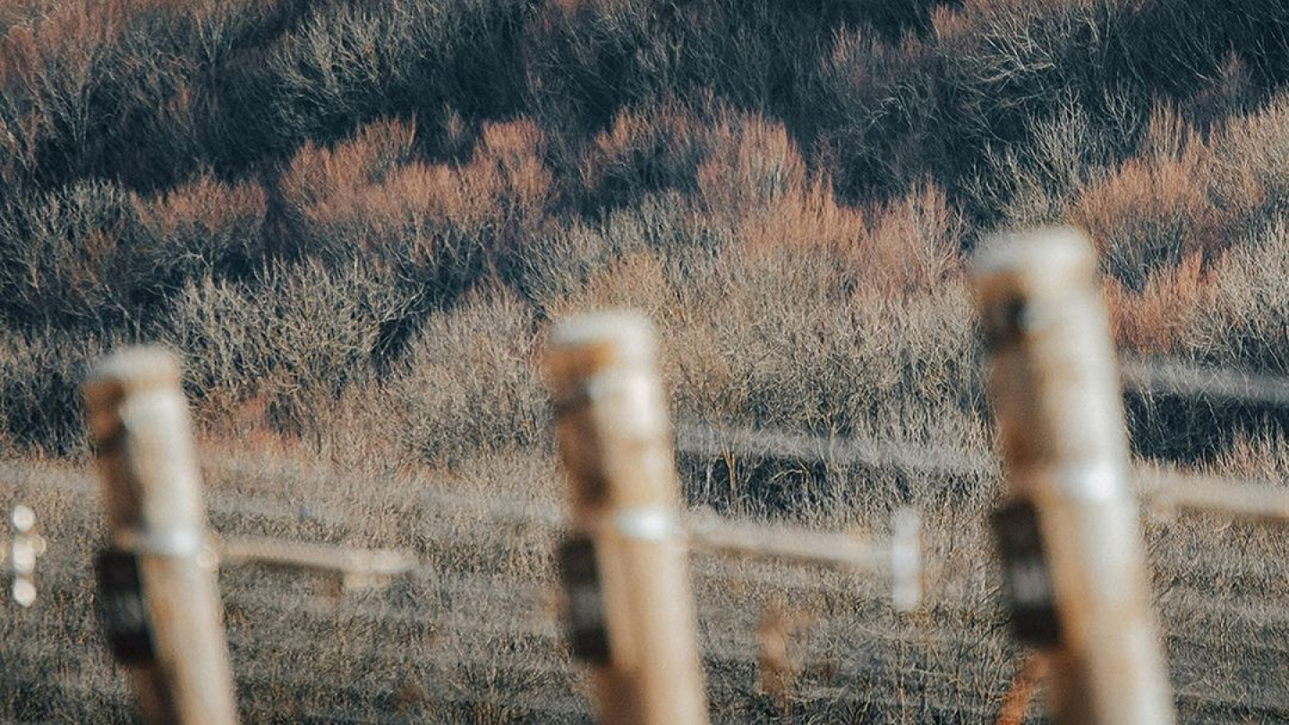 G&G — Изображение №8 — Интерфейсы на Dprofile