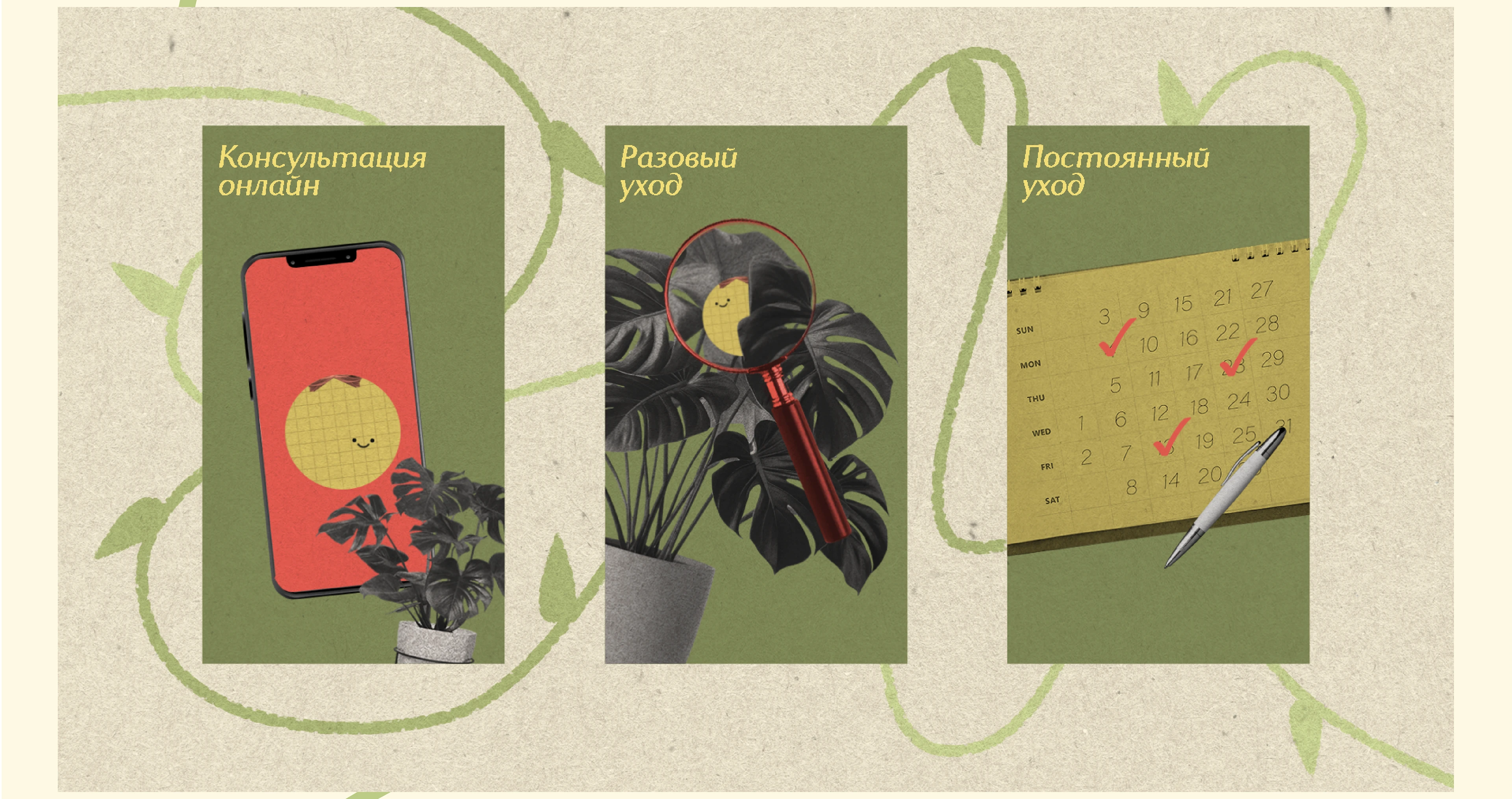 plants for friends — Изображение №4 — Графика, Анимация на Dprofile