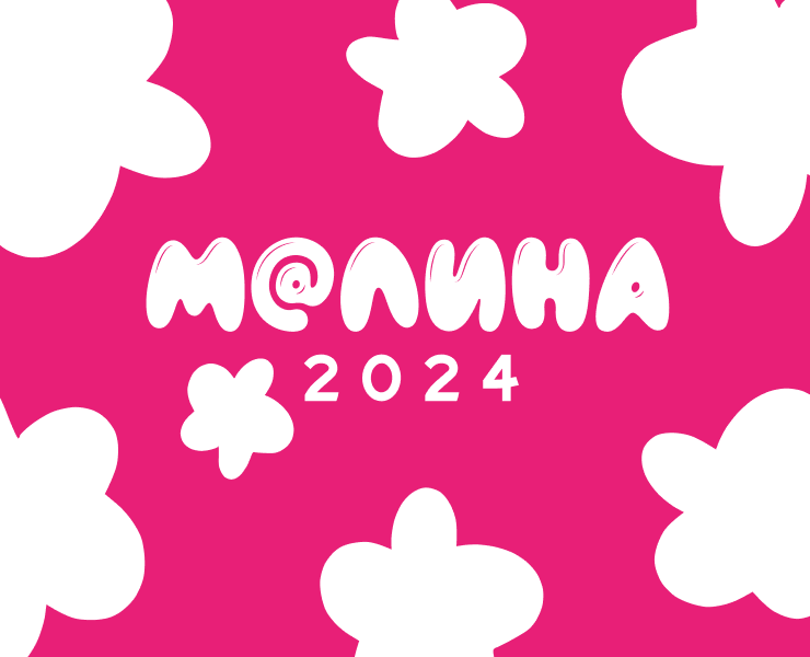 Создание фирменного стиля для добровольческого слета — Брендинг на Dprofile