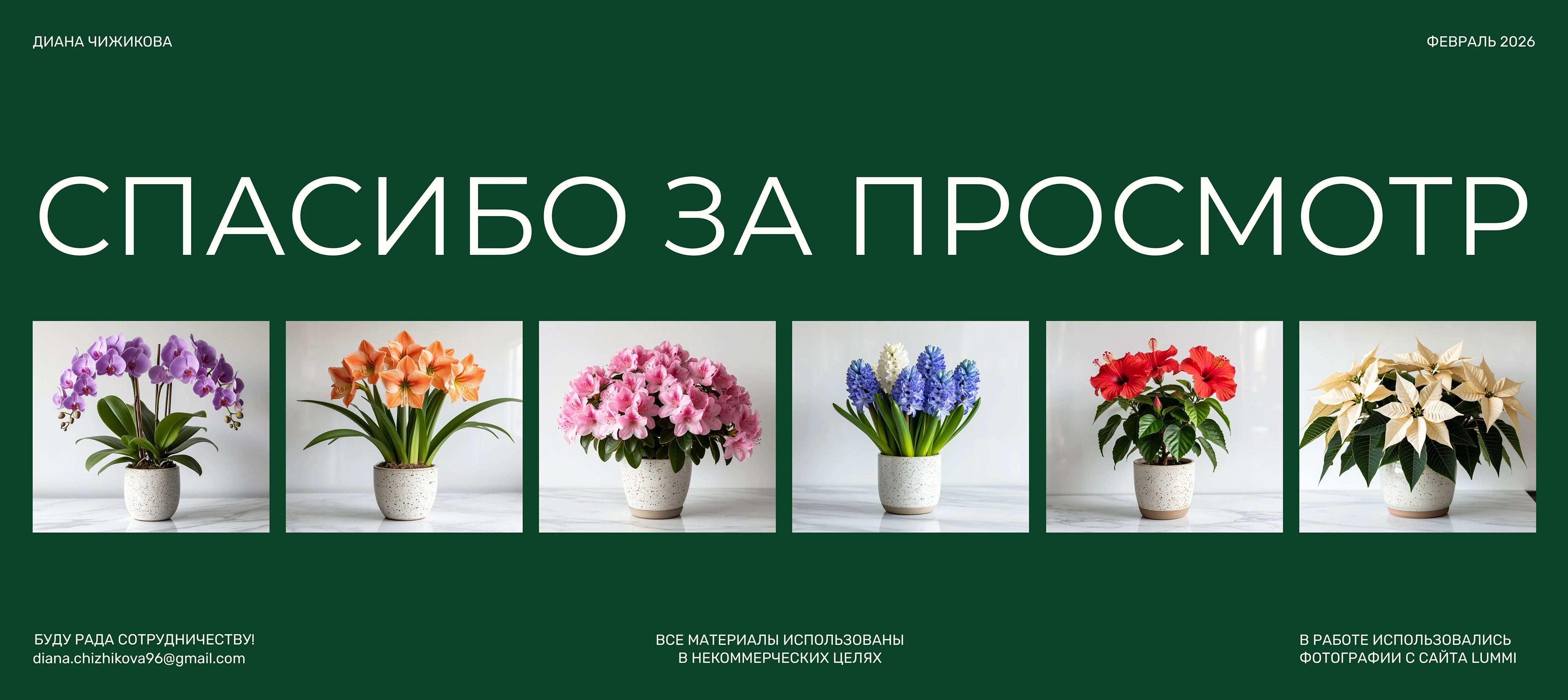 Магазин растений — Изображение №13 — Интерфейсы на Dprofile