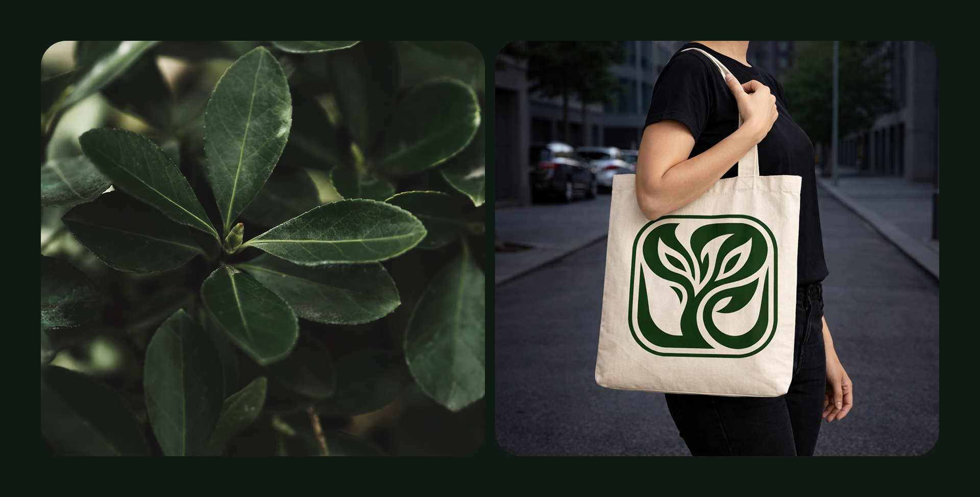 SPROUT / Mobile app — Изображение №11 — Интерфейсы на Dprofile