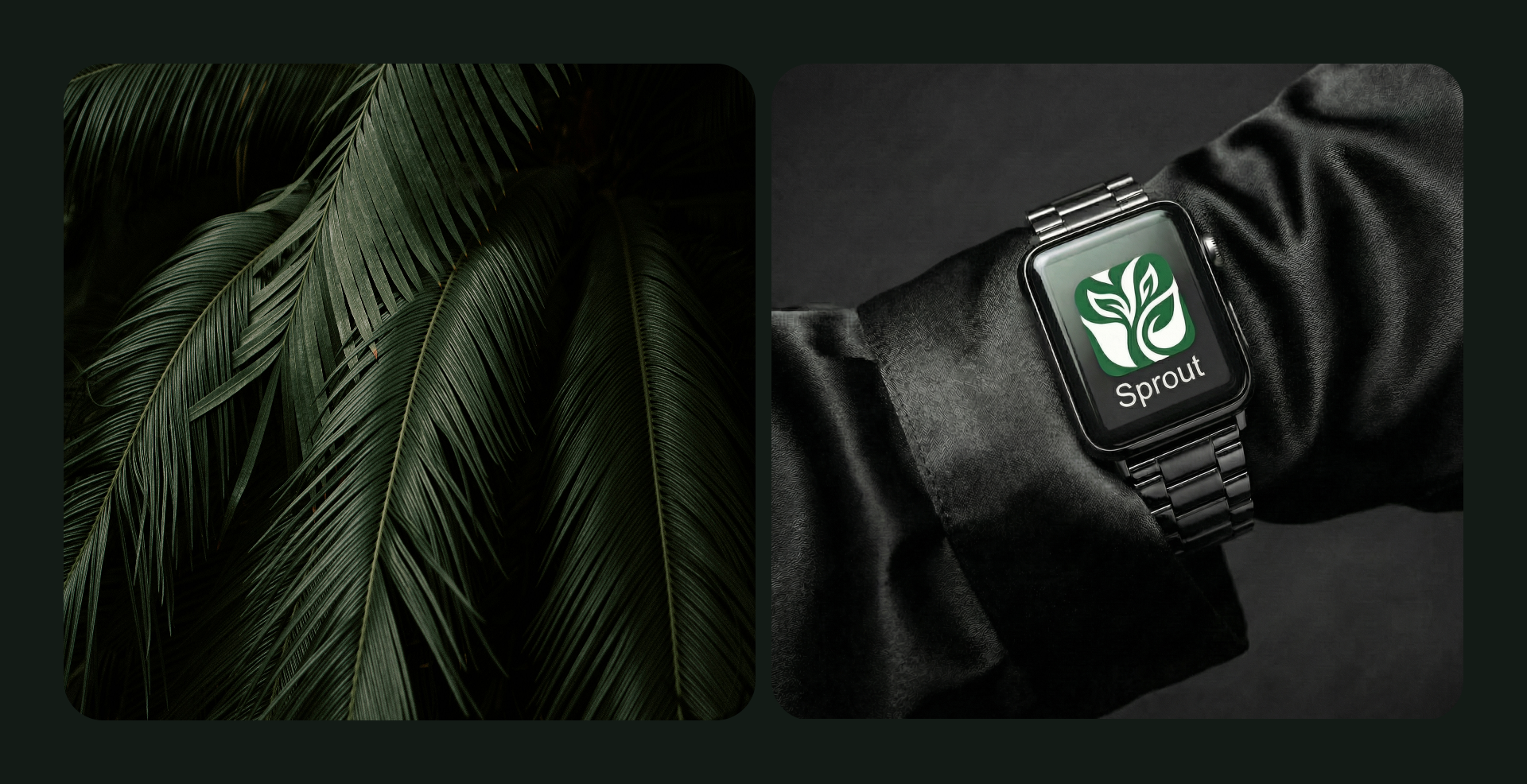 SPROUT / Mobile app — Изображение №5 — Интерфейсы на Dprofile