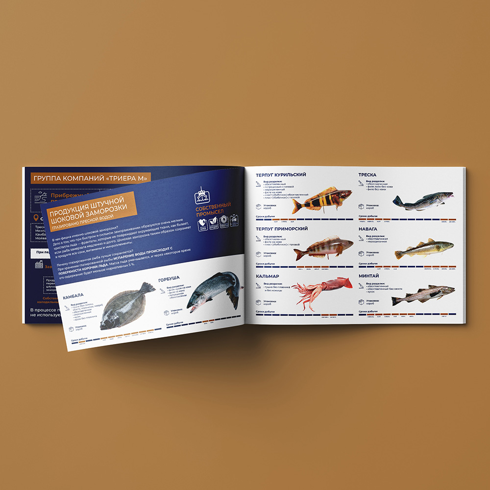 Многостраничное издания для ГК и разработка дизайна СТМ — Изображение №3 — Брендинг, Графика на Dprofile