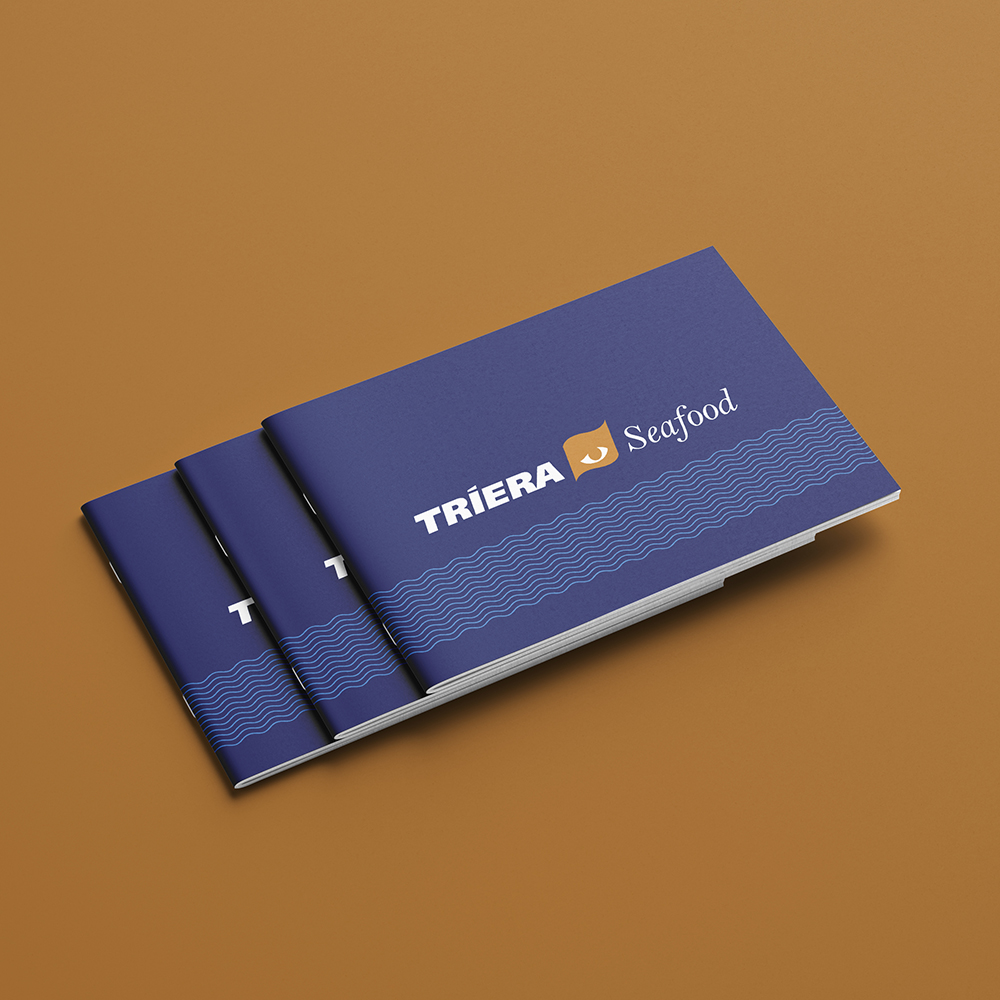 Многостраничное издания для ГК и разработка дизайна СТМ — Изображение №1 — Брендинг, Графика на Dprofile