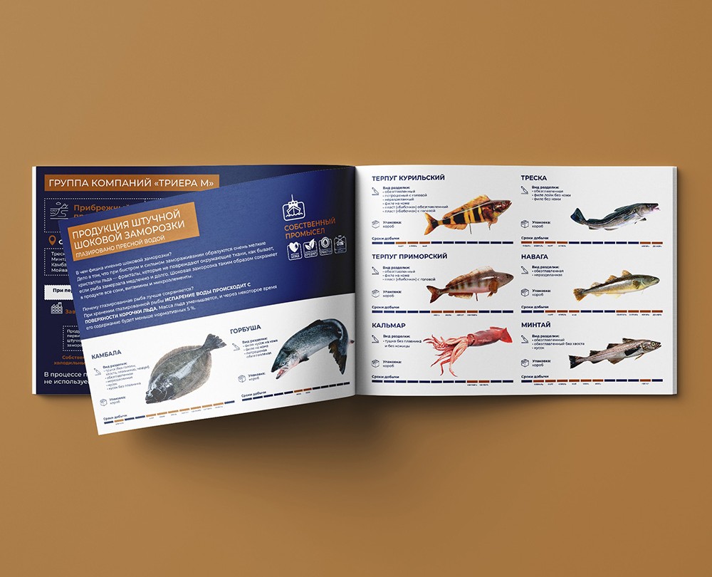 Многостраничное издания для ГК и разработка дизайна СТМ — Брендинг, Графика на Dprofile