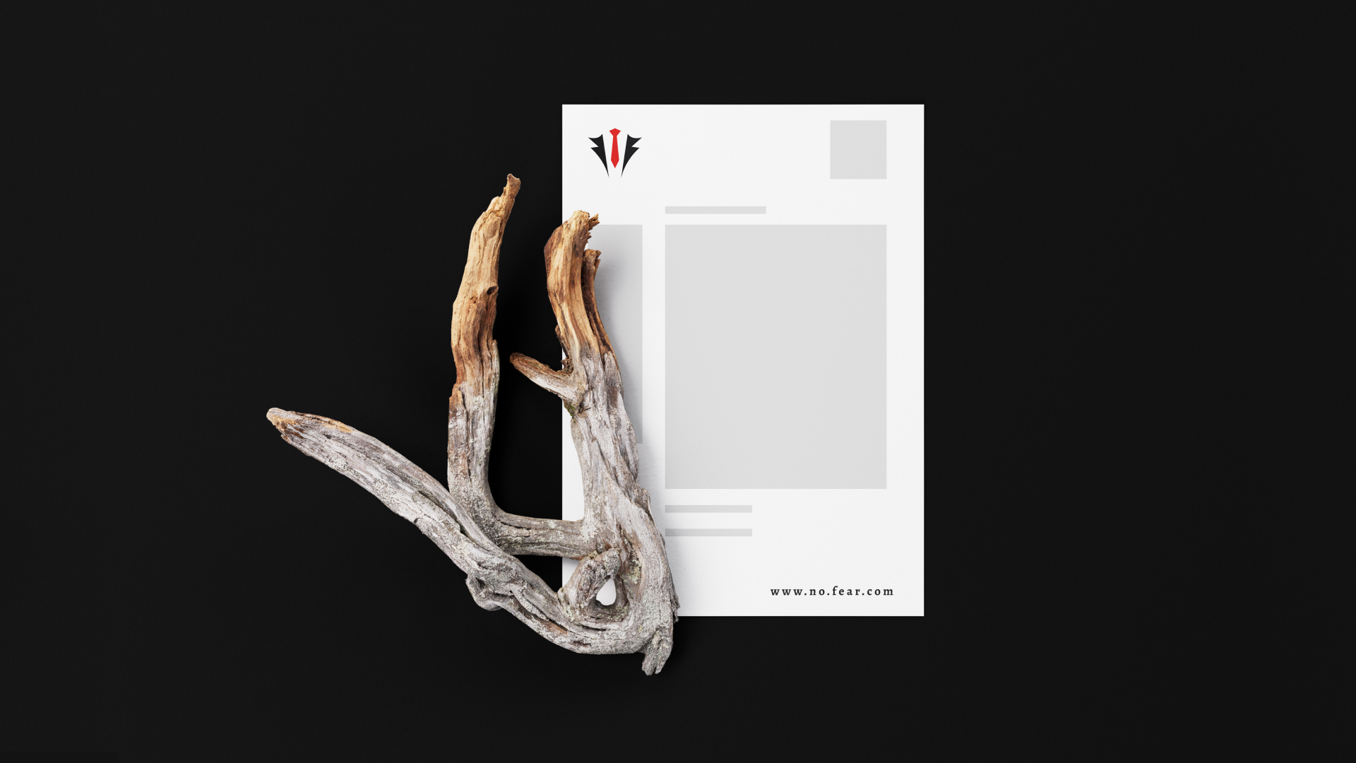 NO FEAR | BrandBook — Изображение №26 — Брендинг, Графика на Dprofile