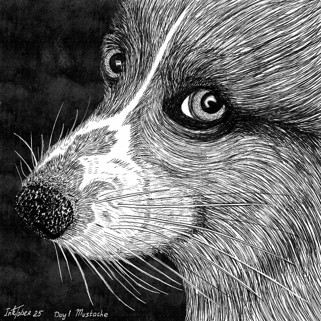 Мой INKTOBER 2025 — Изображение №2 — Иллюстрация на Dprofile