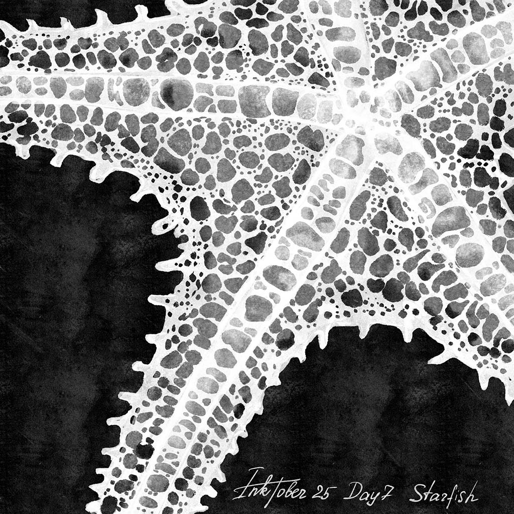 Мой INKTOBER 2025 — Изображение №8 — Иллюстрация на Dprofile