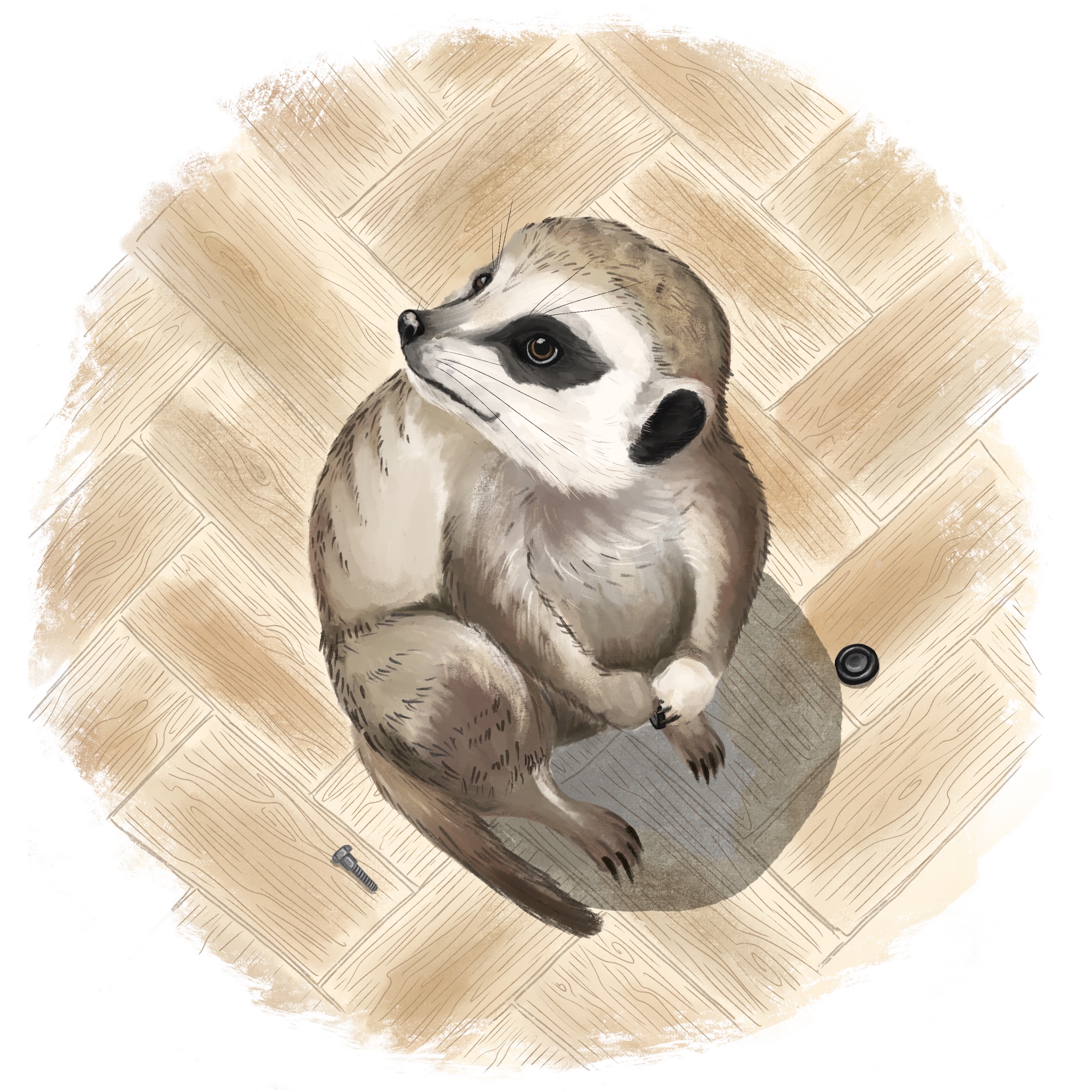 Сhildren's book project about animals — Изображение №7 — Иллюстрация на Dprofile