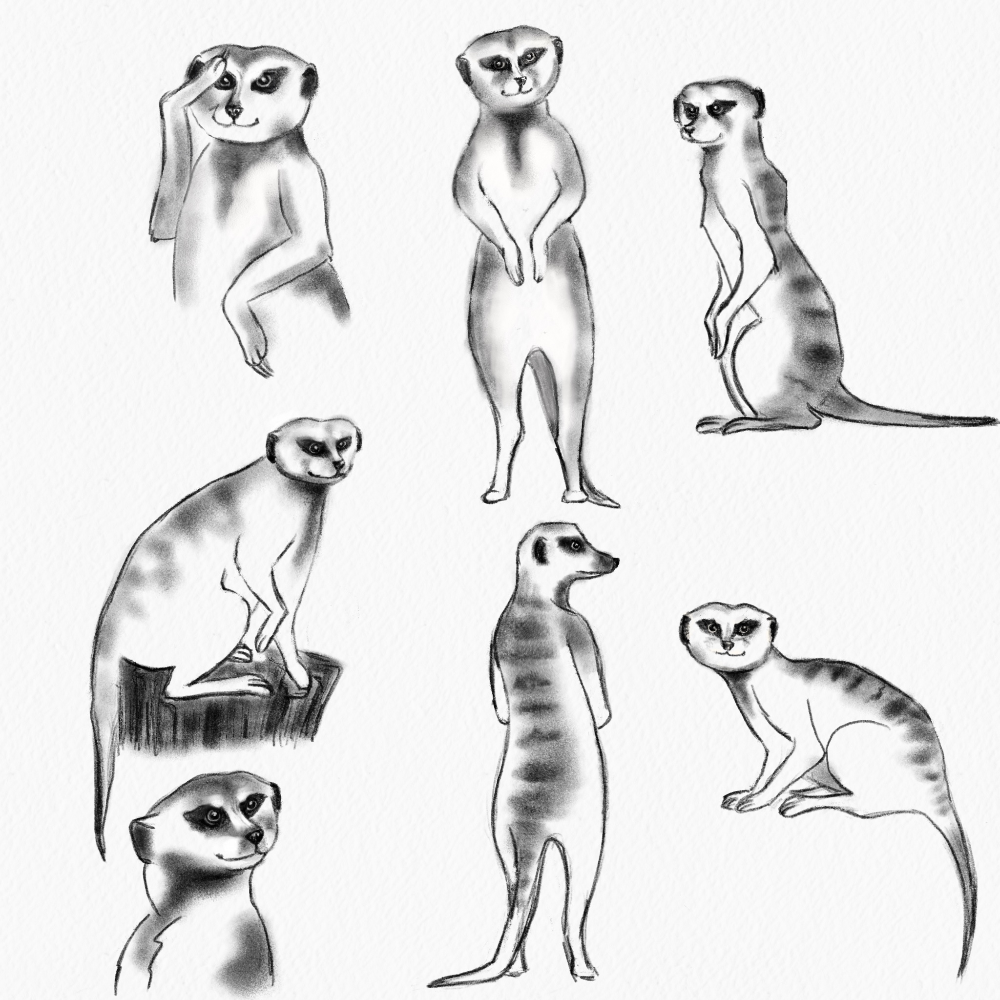 Сhildren's book project about animals — Изображение №3 — Иллюстрация на Dprofile