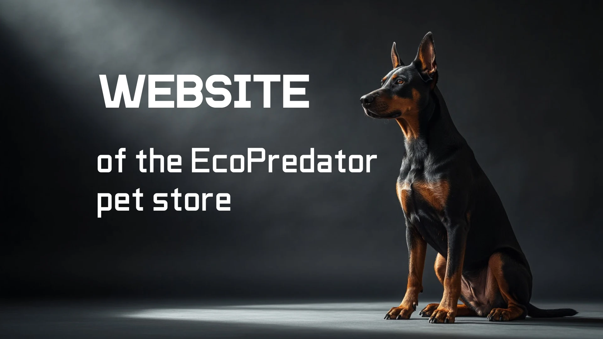 Разработка интернет-зоомагазина под ключ — Изображение №1 — Интерфейсы на Dprofile