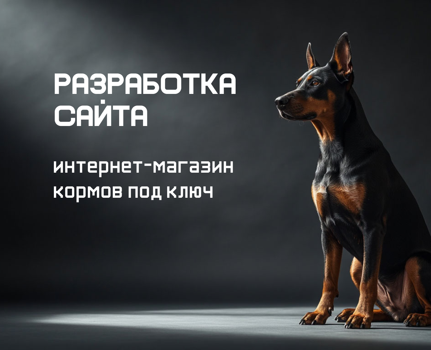 Разработка интернет-зоомагазина под ключ — Интерфейсы на Dprofile