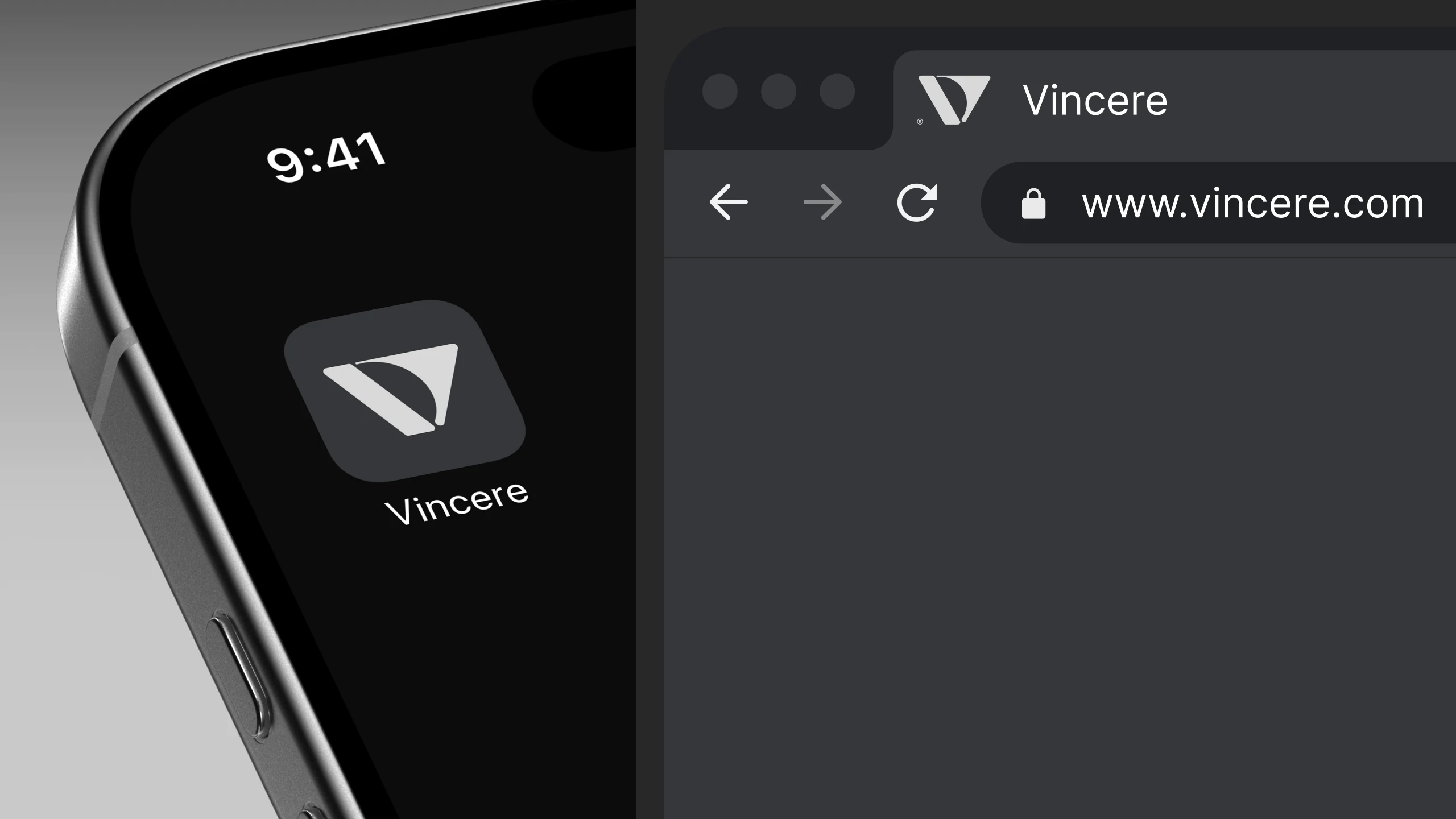 VINCERE — Визуальная айдентика — Изображение №6 — Брендинг, Иллюстрация на Dprofile