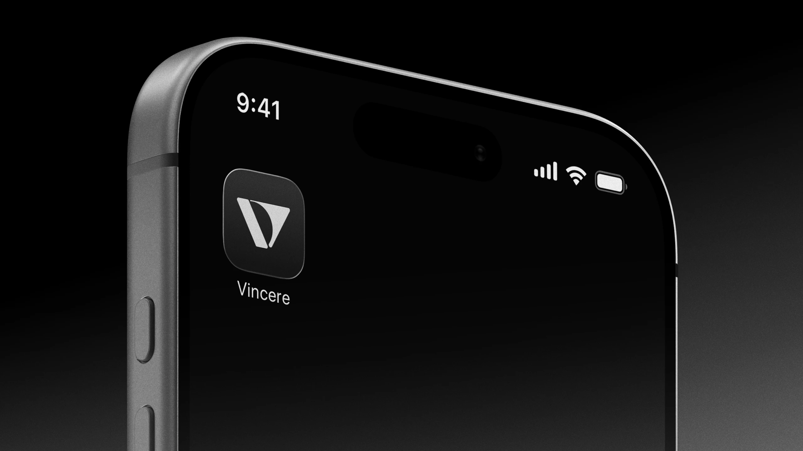 VINCERE — Визуальная айдентика — Изображение №7 — Брендинг, Иллюстрация на Dprofile