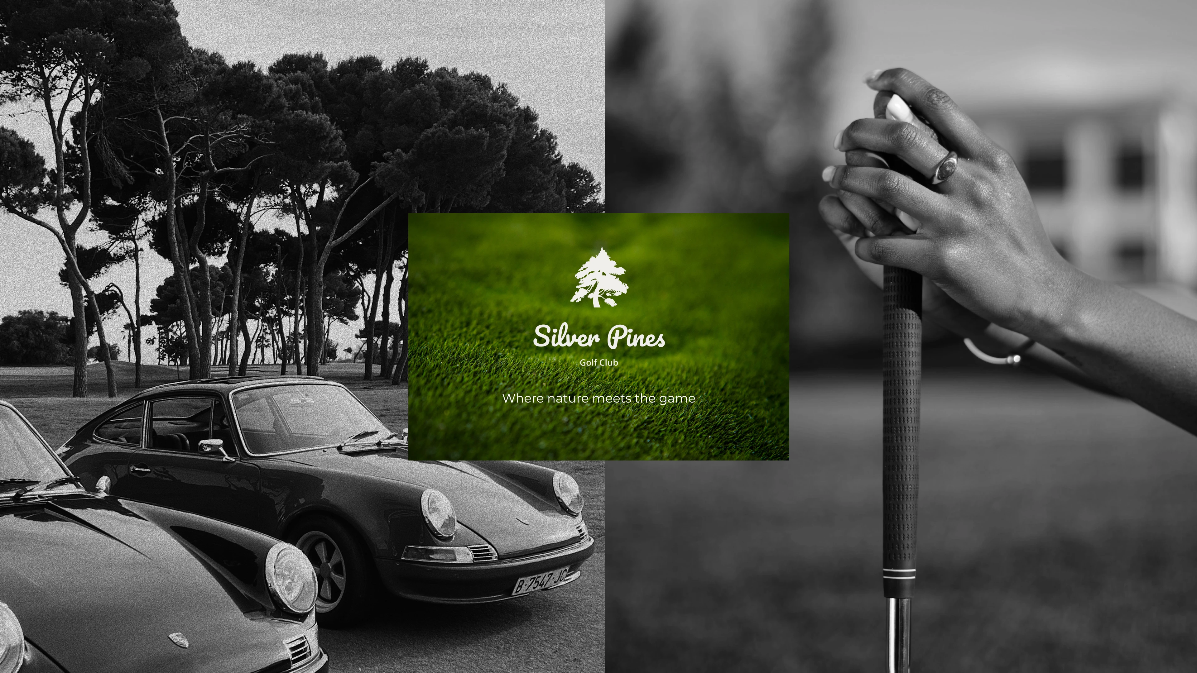 Silver Pines Golf Club — Web Design — Изображение №5 — Интерфейсы, Брендинг на Dprofile
