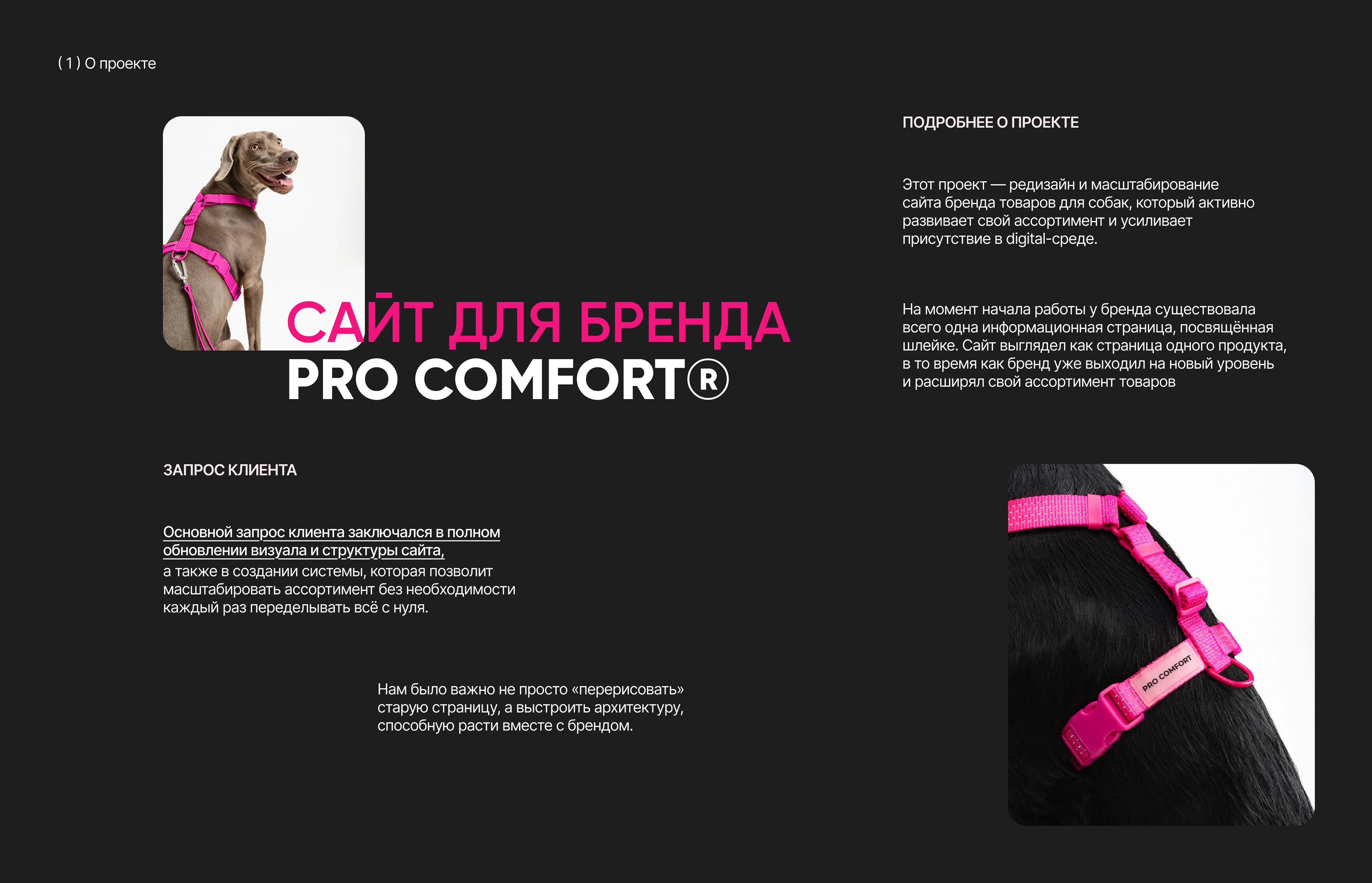 Многостраничный сайт для бренда PRO COMFORT® | web design — Изображение №2 — Интерфейсы на Dprofile
