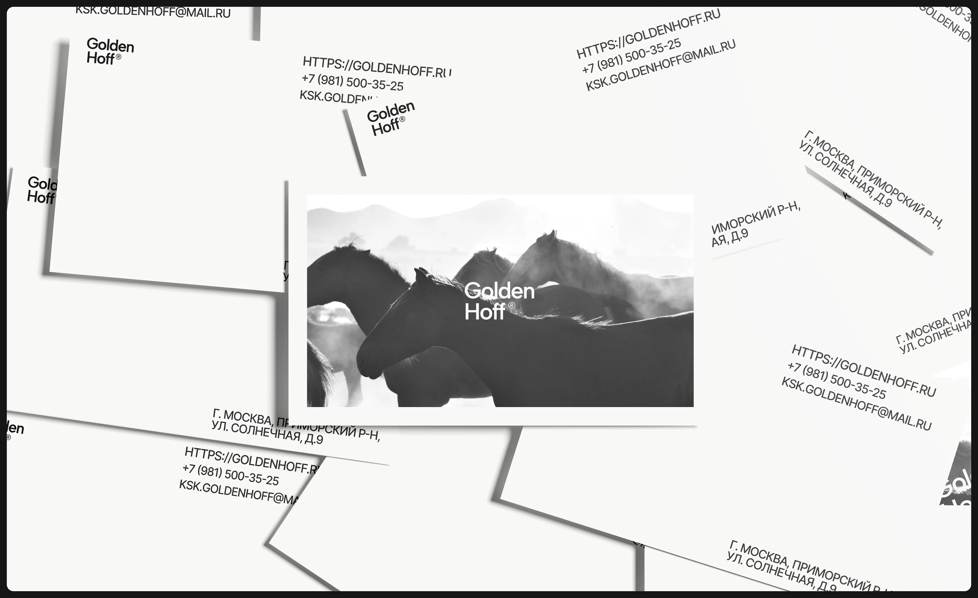 Многостраничный сайт для конного клуба | web design — Изображение №6 — Интерфейсы, Брендинг на Dprofile