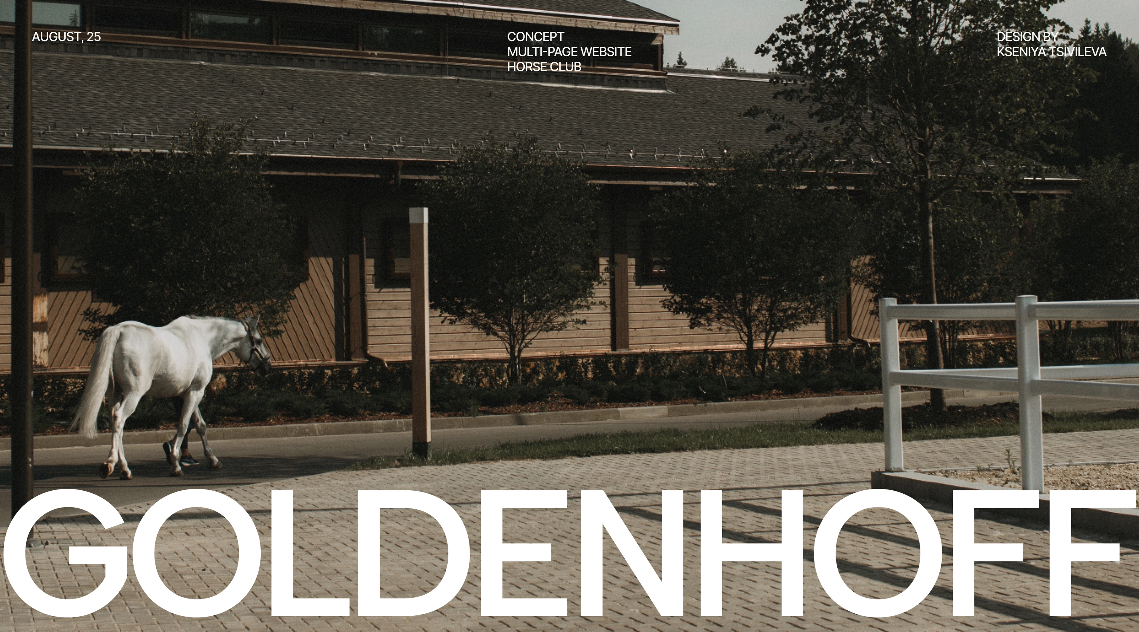 Многостраничный сайт для конного клуба | web design — Изображение №1 — Интерфейсы, Брендинг на Dprofile