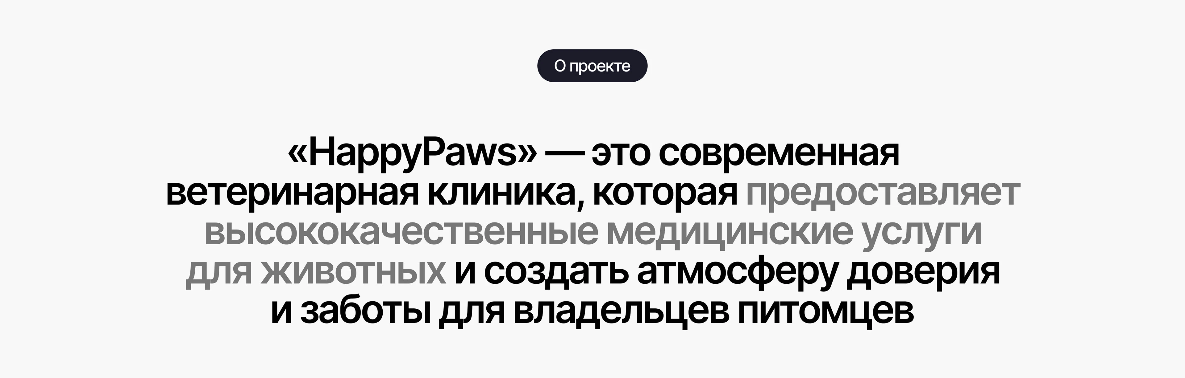 Многостраничный сайт для ветеринарной клиники | web design — Изображение №2 — Интерфейсы, Брендинг на Dprofile