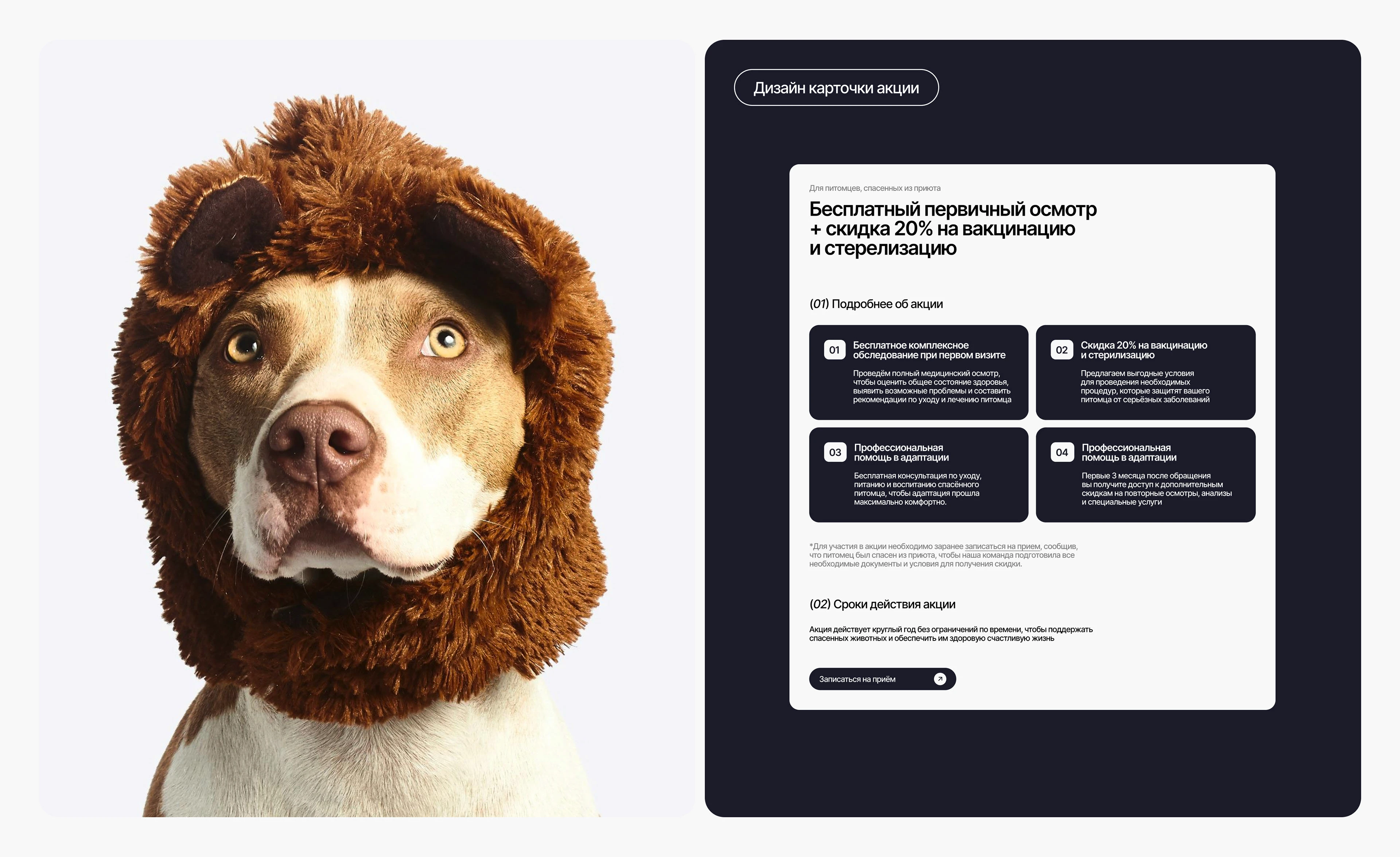 Многостраничный сайт для ветеринарной клиники | web design — Изображение №14 — Интерфейсы, Брендинг на Dprofile