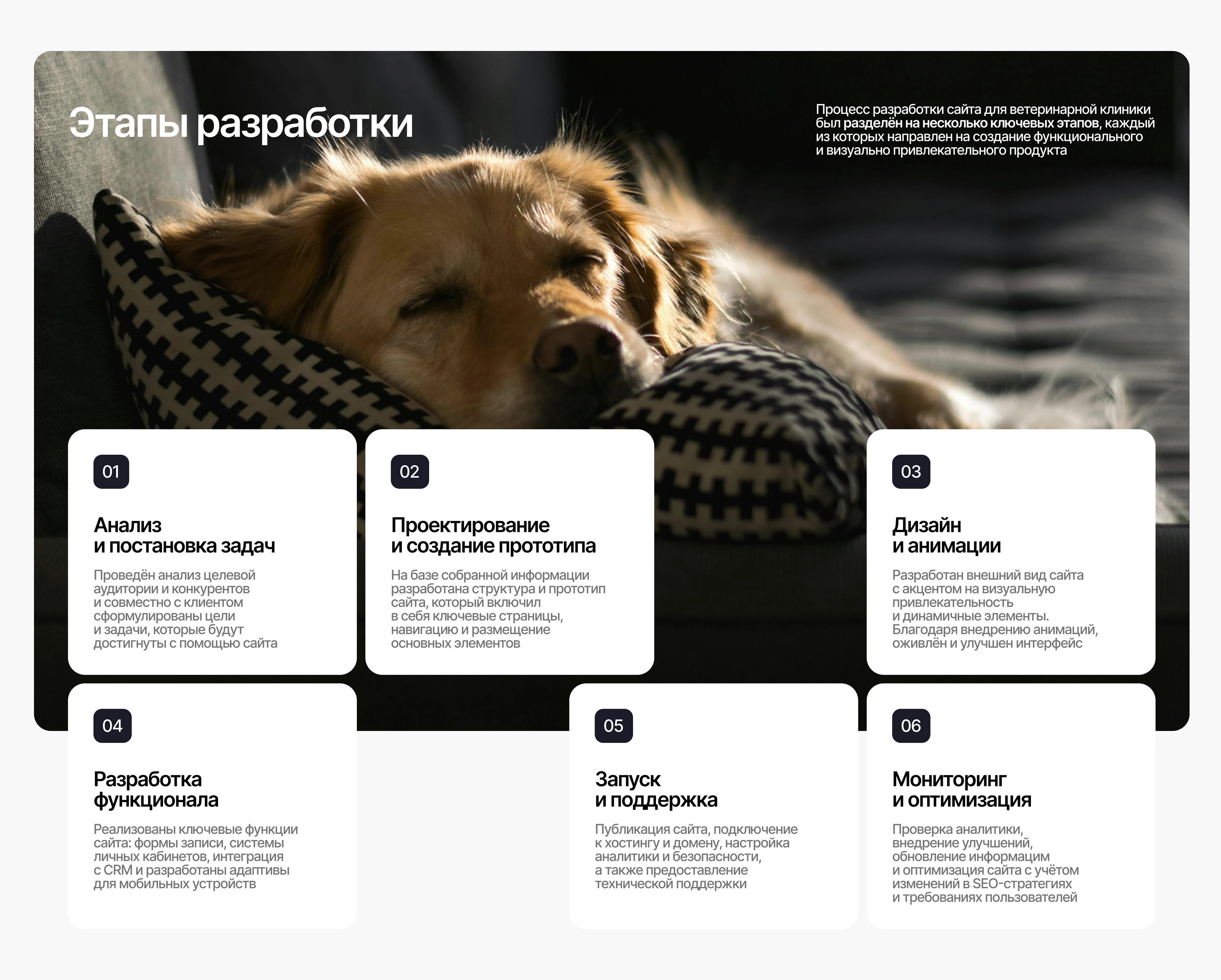 Многостраничный сайт для ветеринарной клиники | web design — Изображение №5 — Интерфейсы, Брендинг на Dprofile