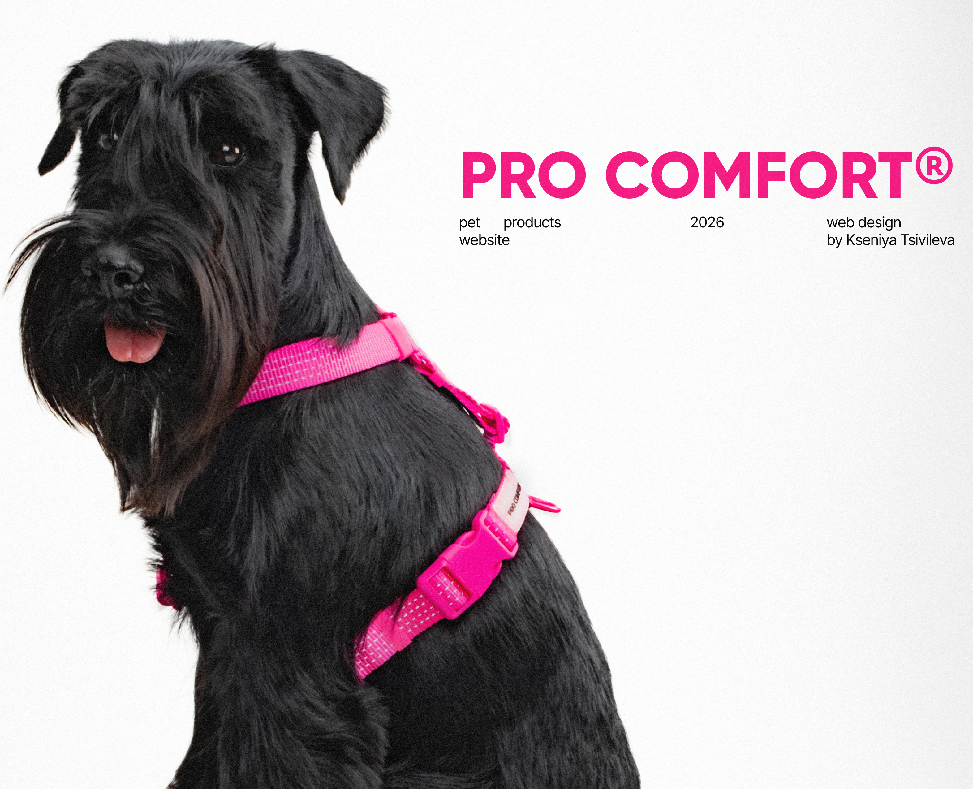 Многостраничный сайт для бренда PRO COMFORT® | web design — Интерфейсы на Dprofile