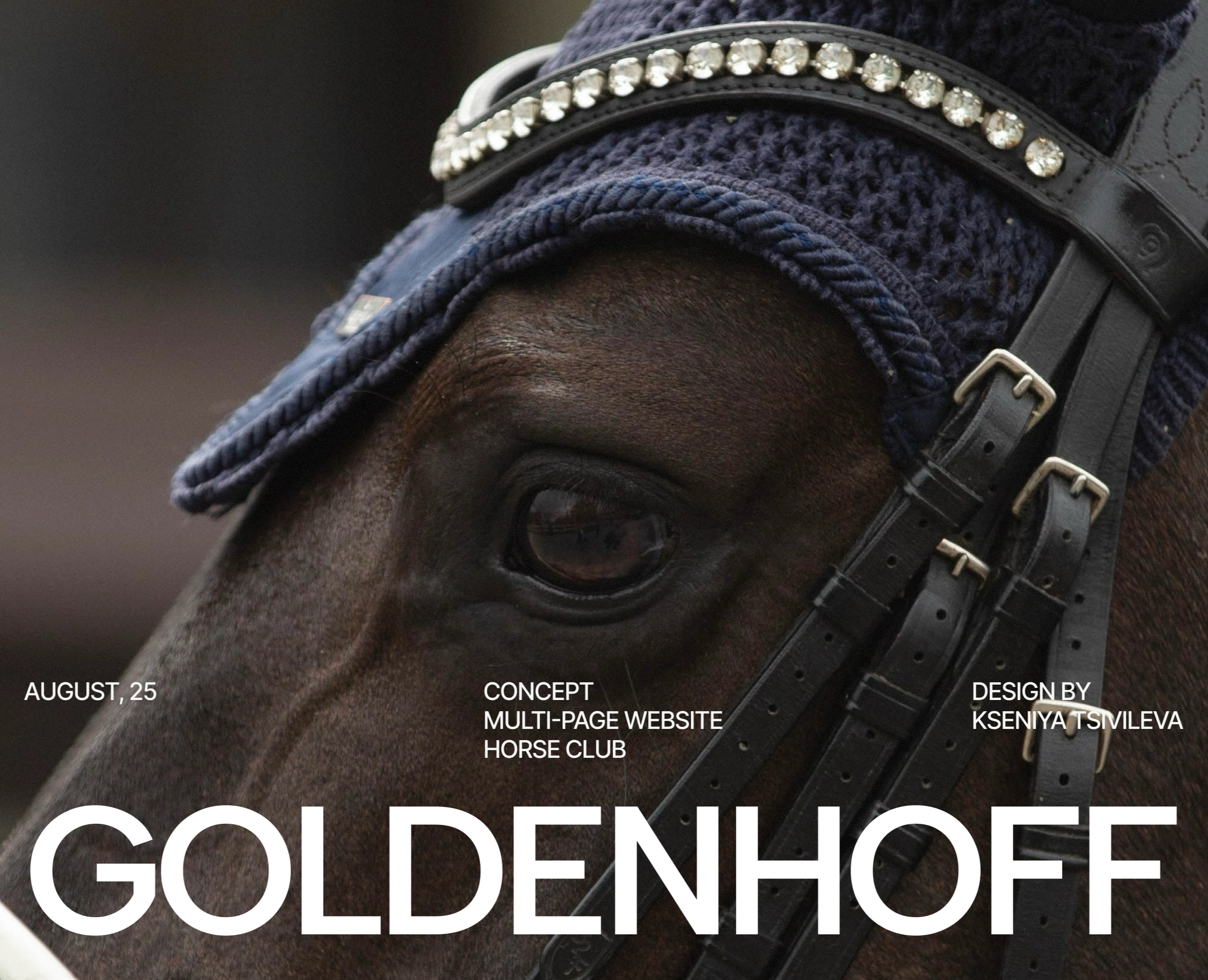 Многостраничный сайт для конного клуба | web design — Интерфейсы, Брендинг на Dprofile