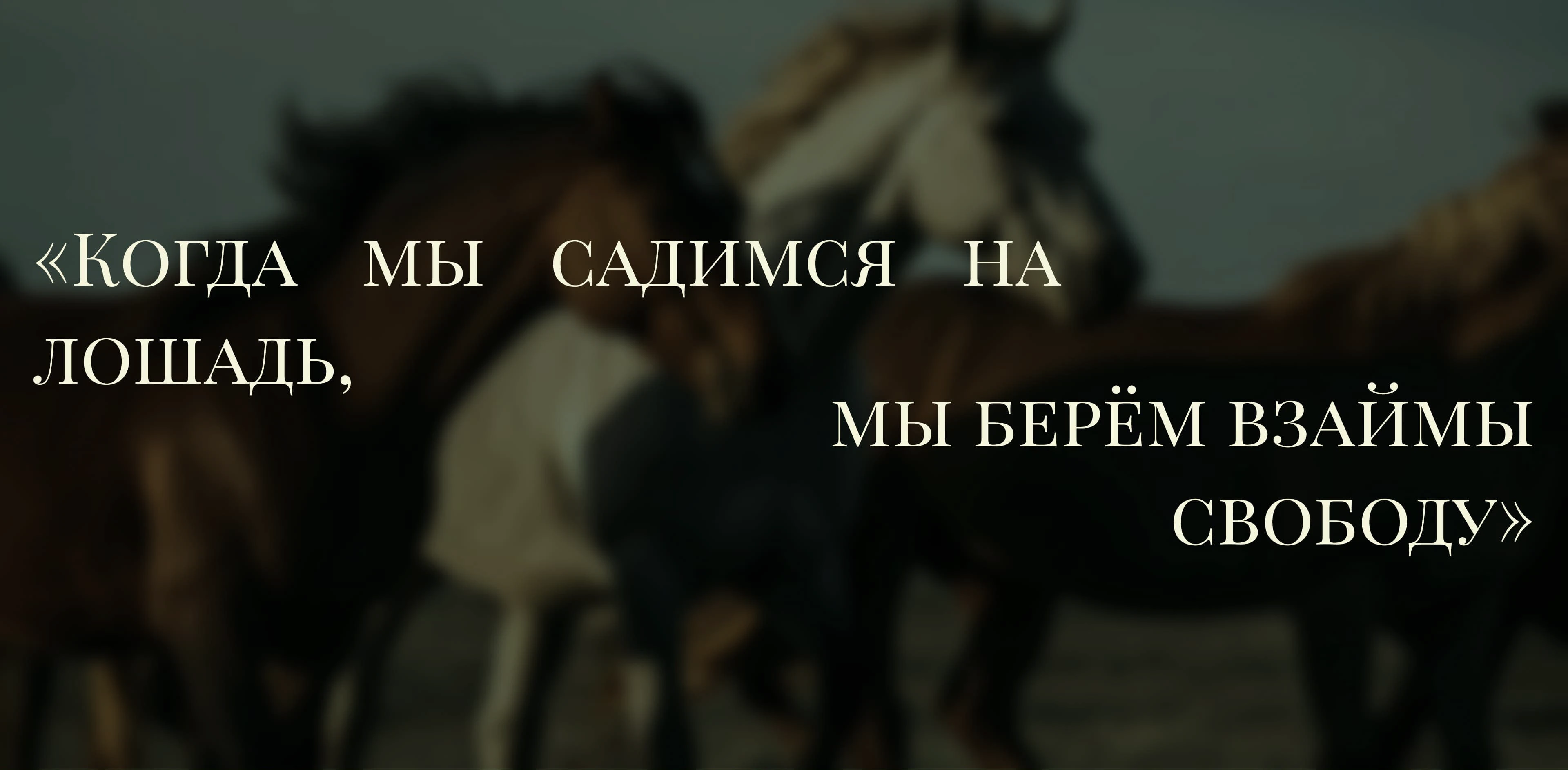 StarSteed: website of a equestrian club — Изображение №3 — Интерфейсы на Dprofile