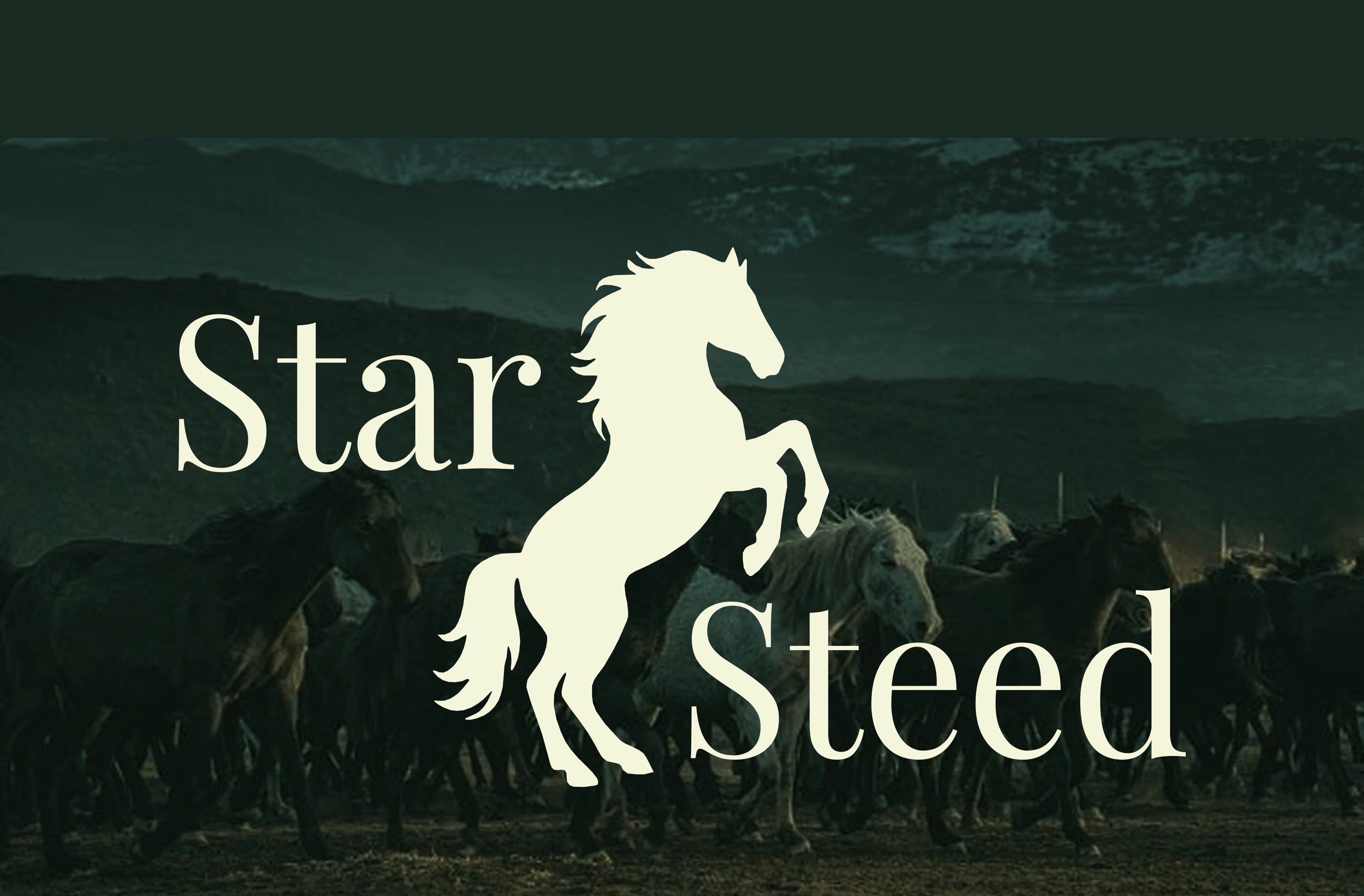 StarSteed: website of a equestrian club — Изображение №9 — Интерфейсы на Dprofile