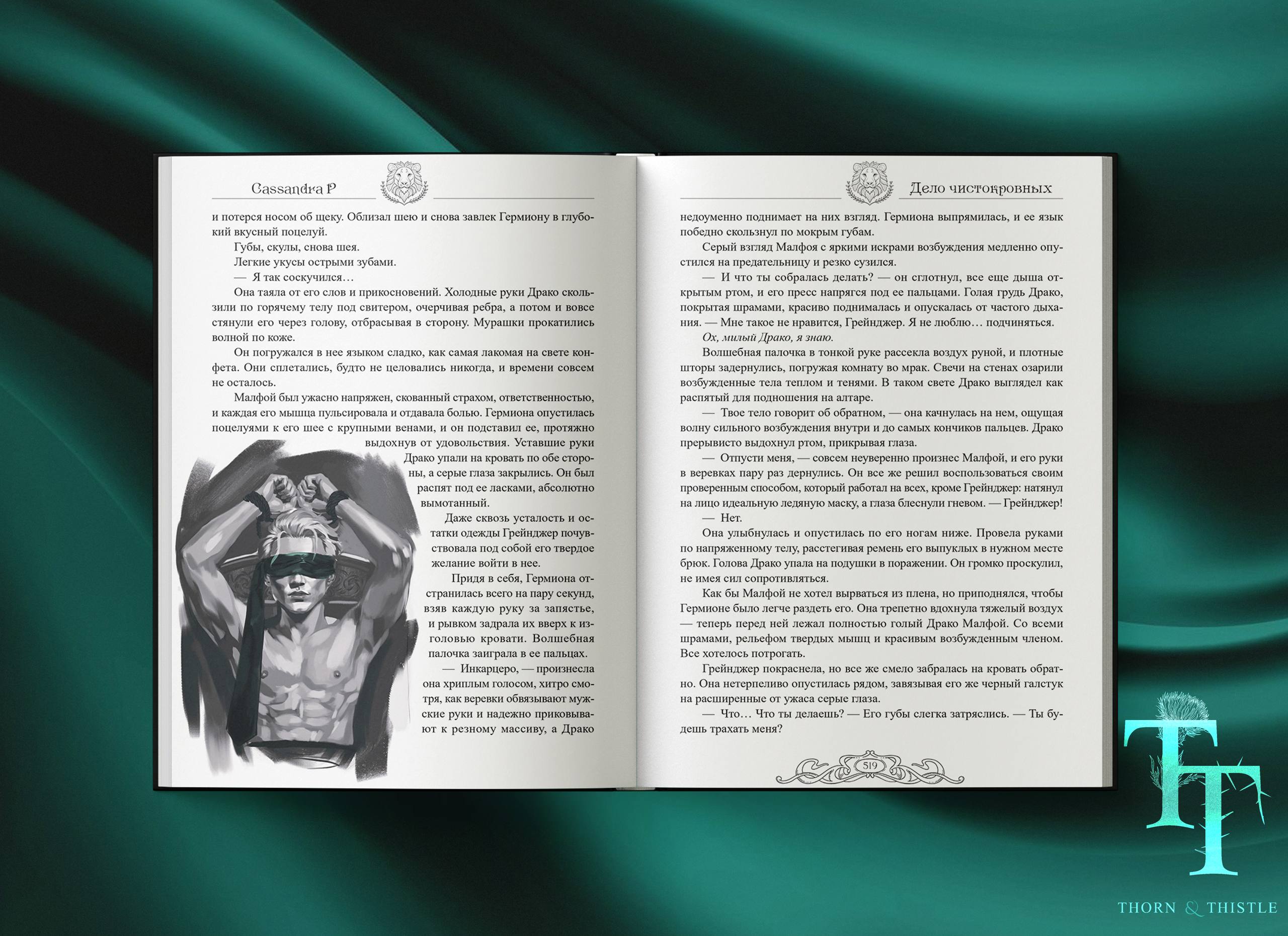 Внутренние иллюстрации, наброски для Терн и Чертополох — Изображение №3 — Иллюстрация на Dprofile