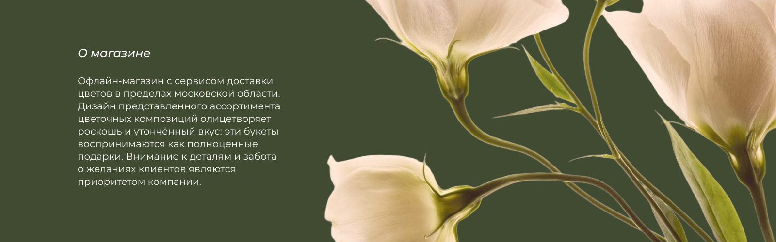 Сайт для цветочного магазина — Изображение №2 — Интерфейсы на Dprofile