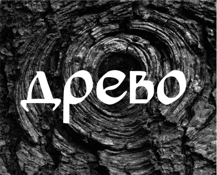 Древо на Dprofile