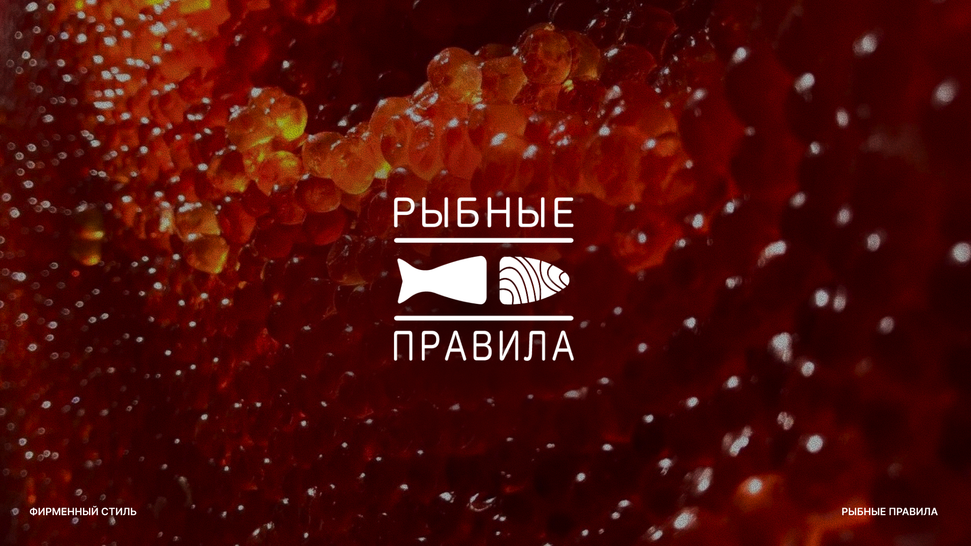 Фирменный стиль. Рыбные правила — Изображение №1 — Брендинг на Dprofile
