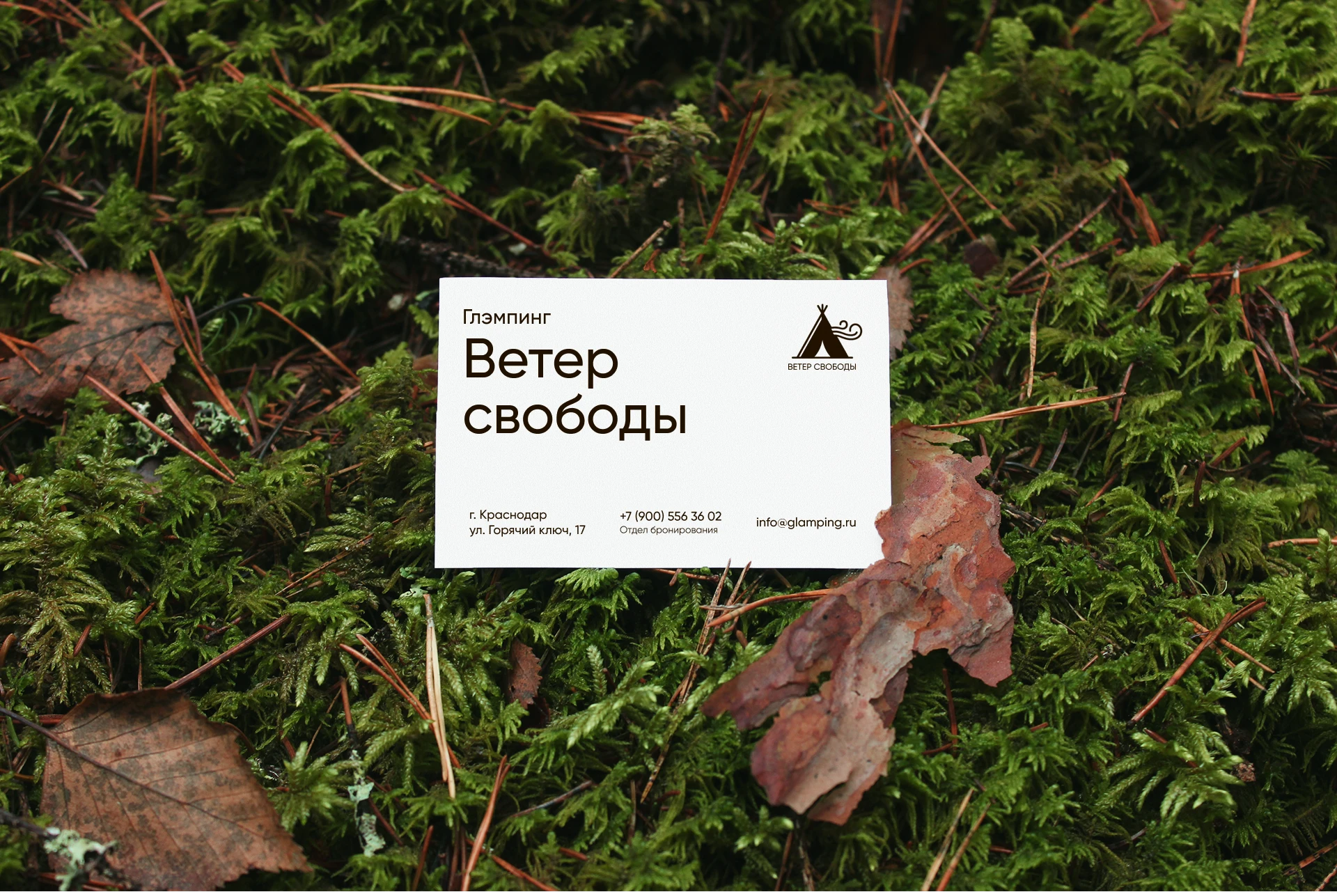 Ui/Ux Глэмпинг "Ветер свободы" — Изображение №9 — Интерфейсы, Анимация на Dprofile