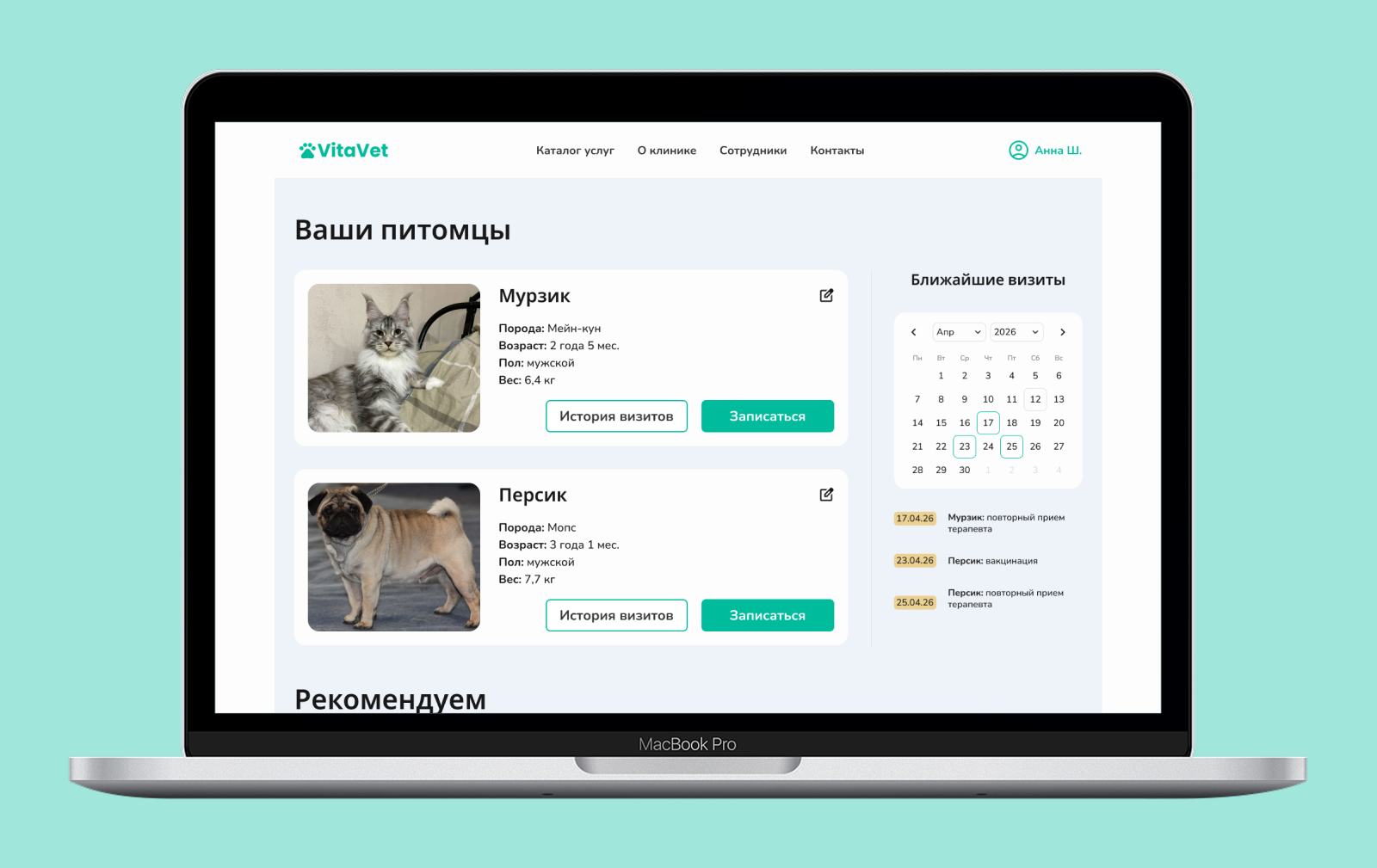Сайт для ветеринарной поликлиники — Изображение №5 — Интерфейсы на Dprofile