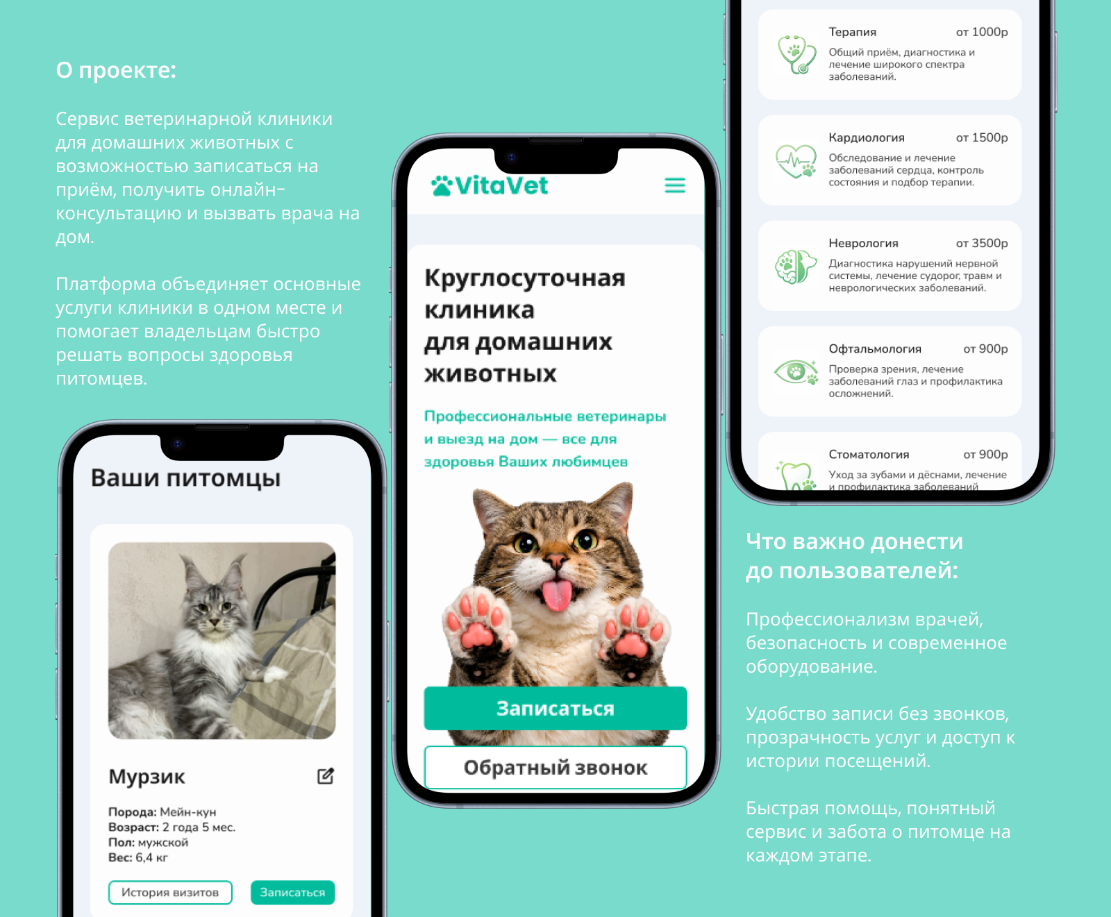 Сайт для ветеринарной поликлиники — Изображение №2 — Интерфейсы на Dprofile