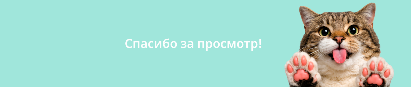 Сайт для ветеринарной поликлиники — Изображение №8 — Интерфейсы на Dprofile