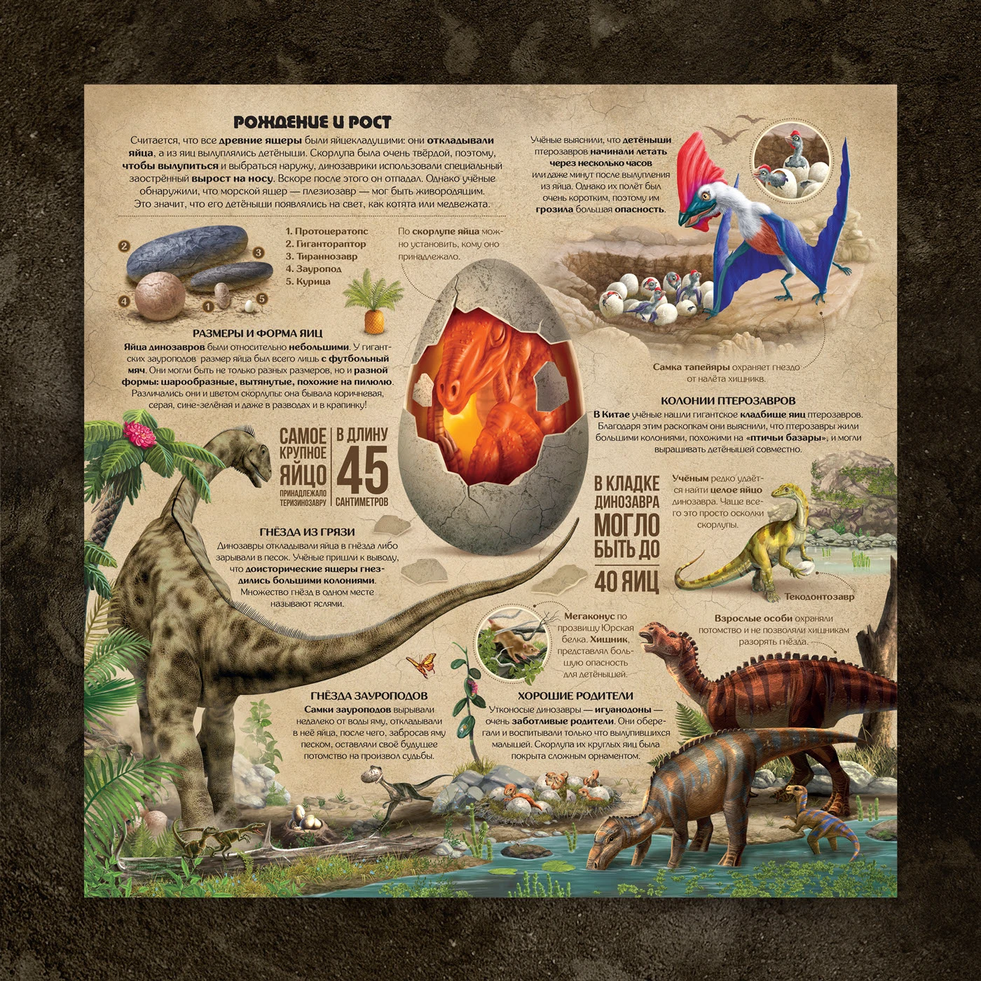 Книга для детей «По следам Динозавров». — Изображение №9 — Иллюстрация, Графика на Dprofile