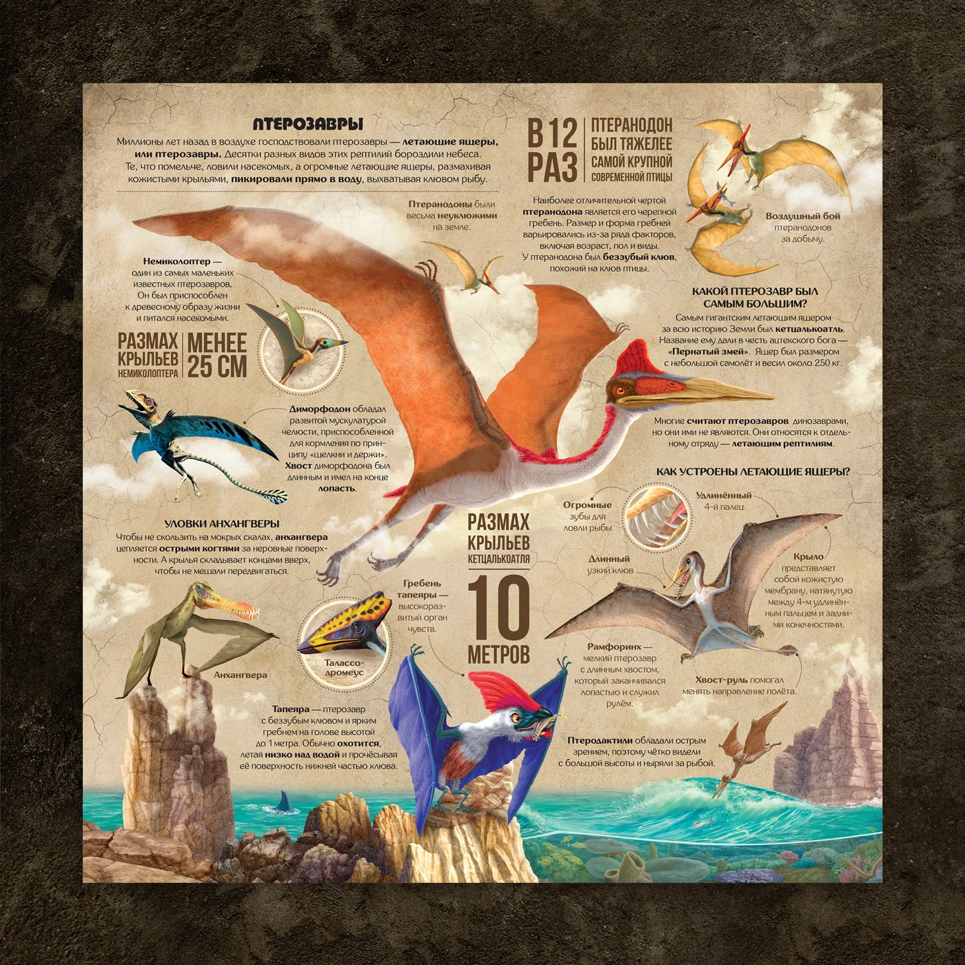 Книга для детей «По следам Динозавров». — Изображение №8 — Иллюстрация, Графика на Dprofile